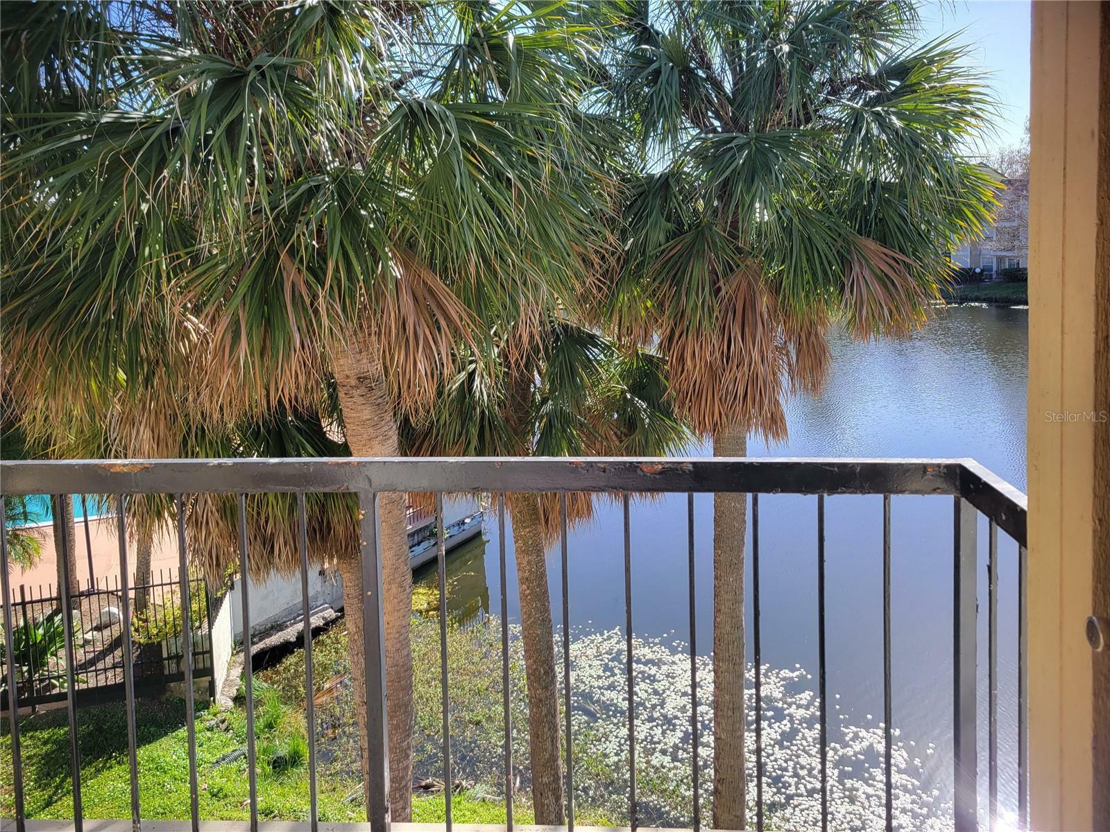 Property Photo:  1908 Lake Atriums Circle 23  FL 32839 