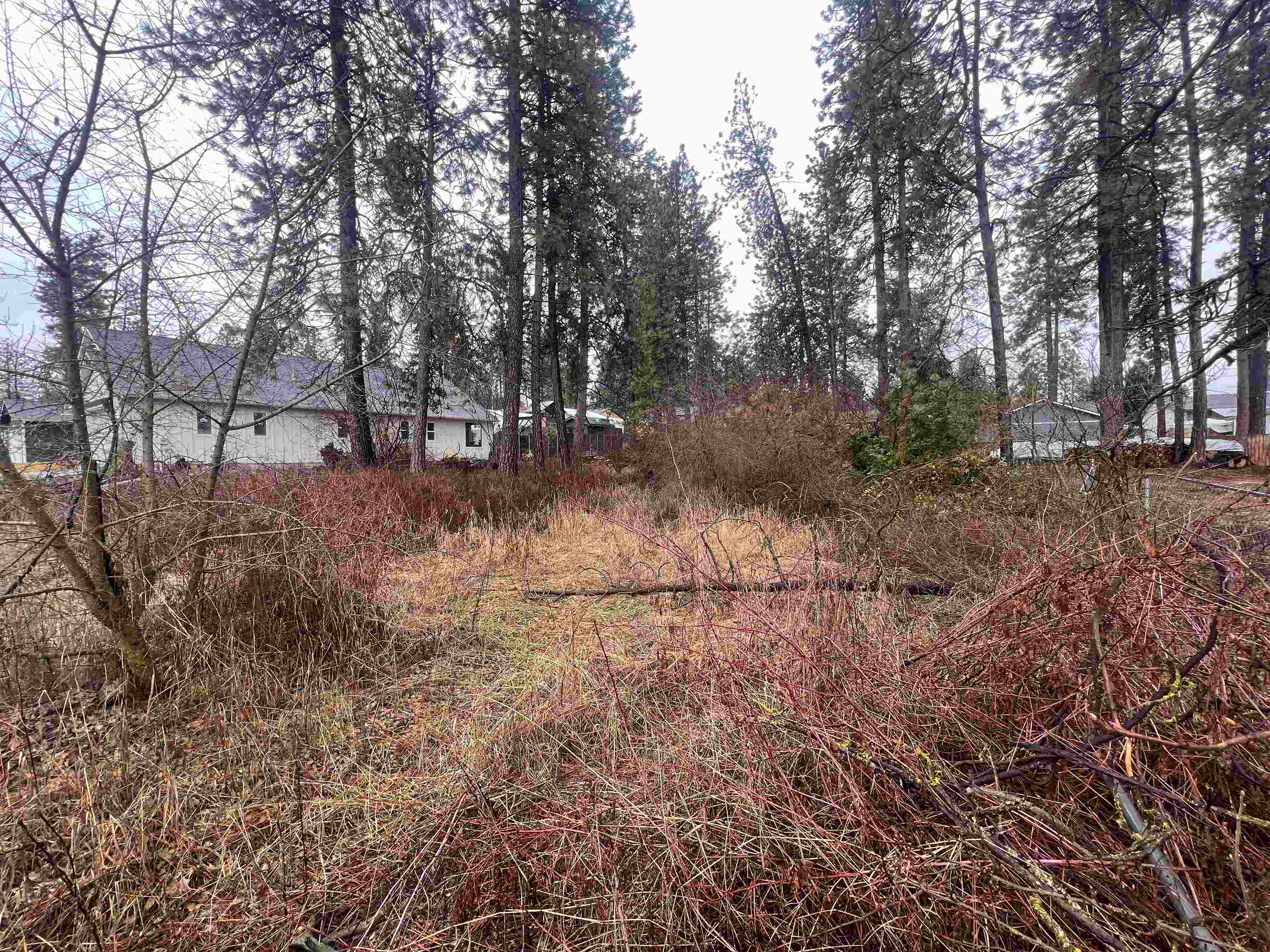 Property Photo:  3107 W 18th Ave  WA 99224 