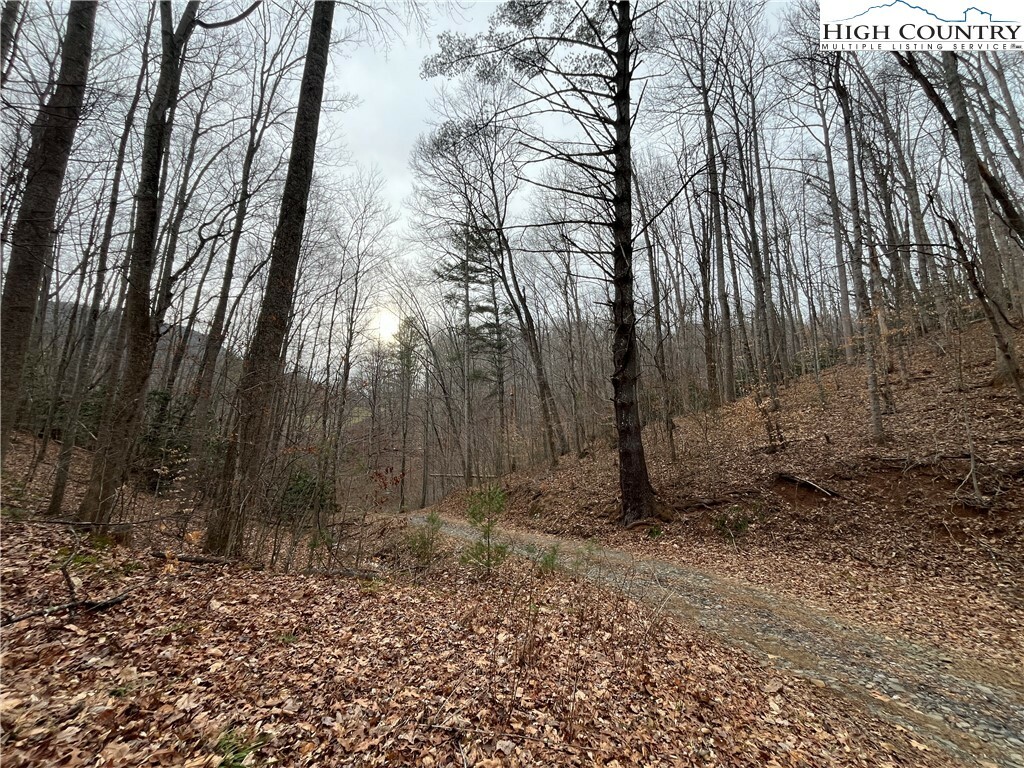 Property Photo:  Tbd Ginger Mountain Lane  NC 28693 