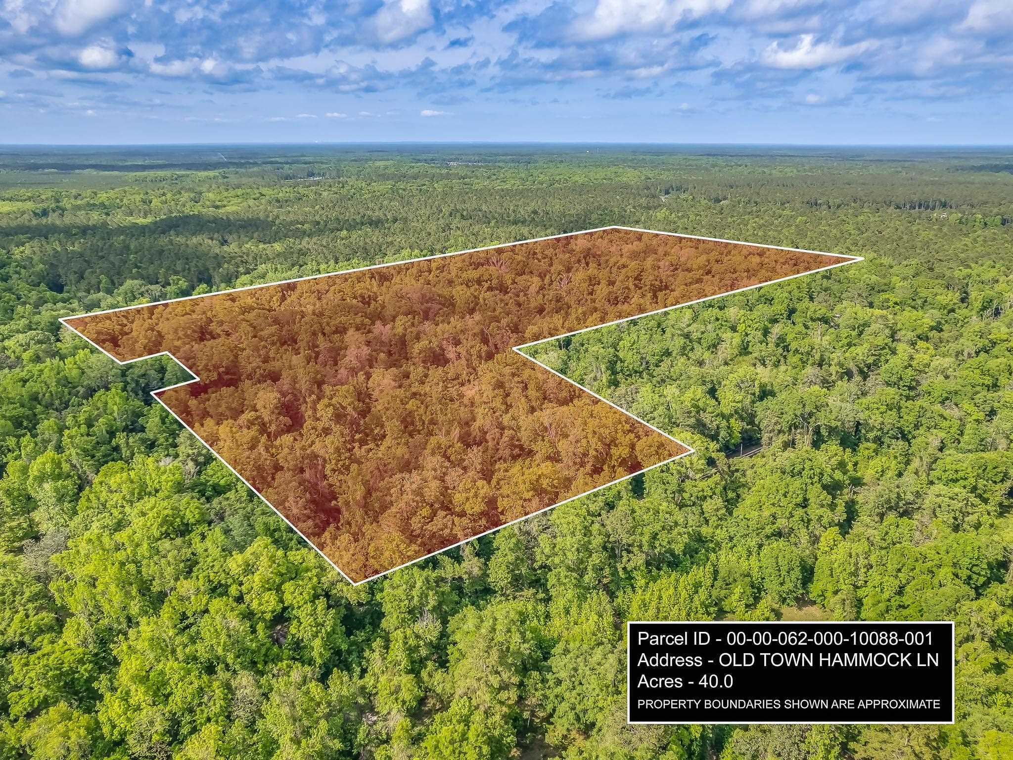 Property Photo:  20 Ac Old Town Hammock Lane  FL 32327 