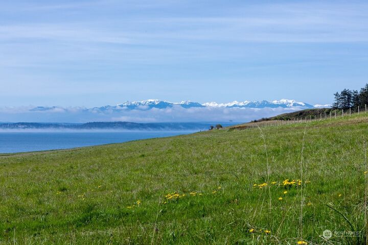 1788 Rebecca Drive  Coupeville WA 98239 photo