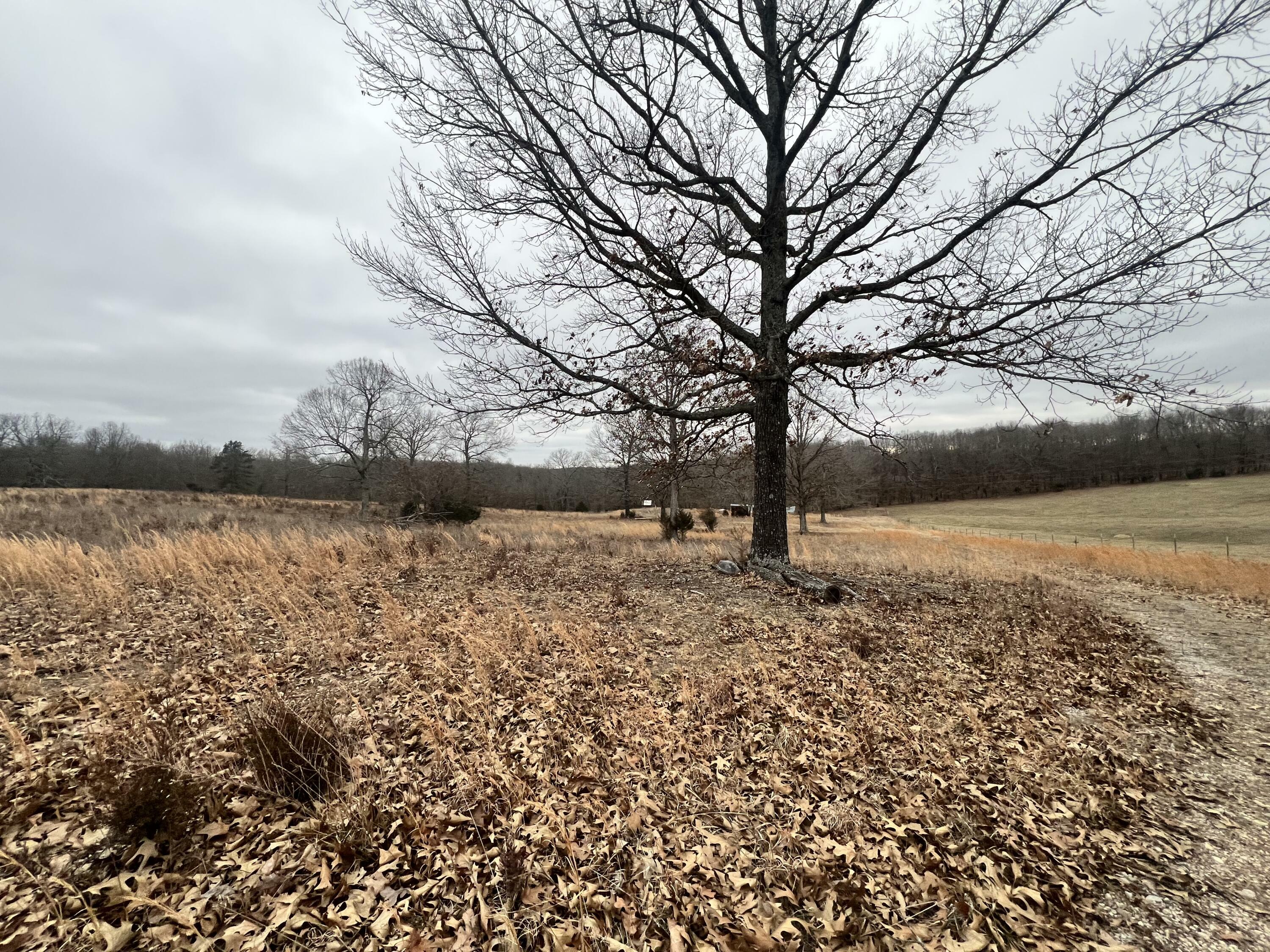 Property Photo:  5907 M Highway  MO 65692 