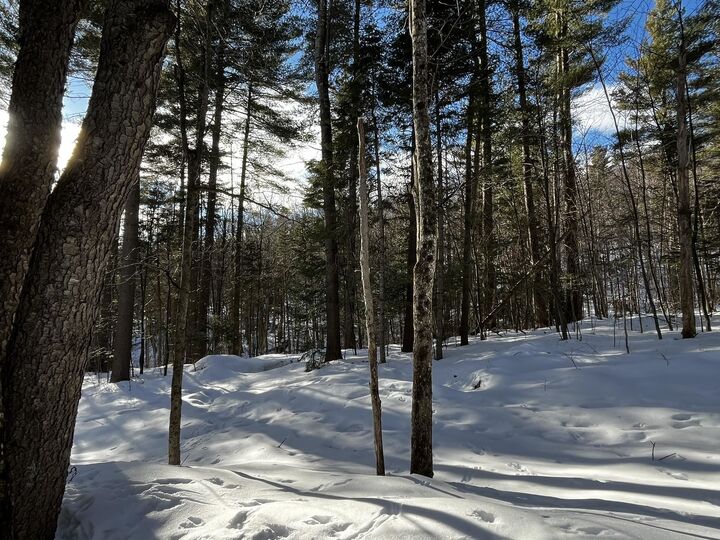 Property Photo: 00 Cassidy Farm Road 01 VT 05674