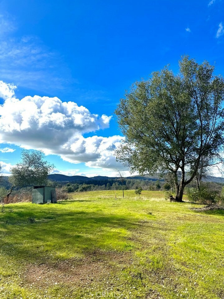 Property Photo:  6481 State Highway 49 N  CA 95338 