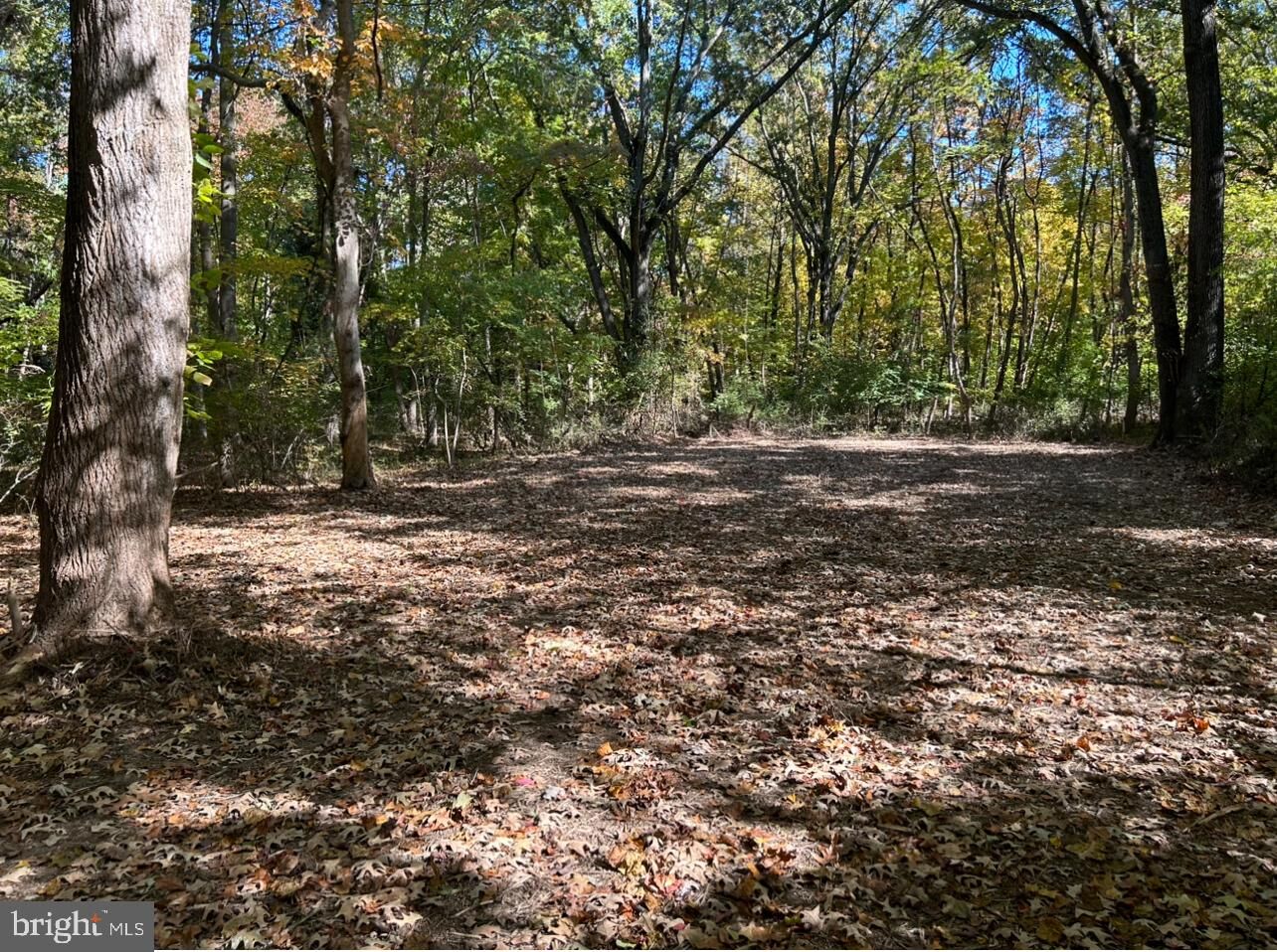 Property Photo:  Elm Road  MD 21620 