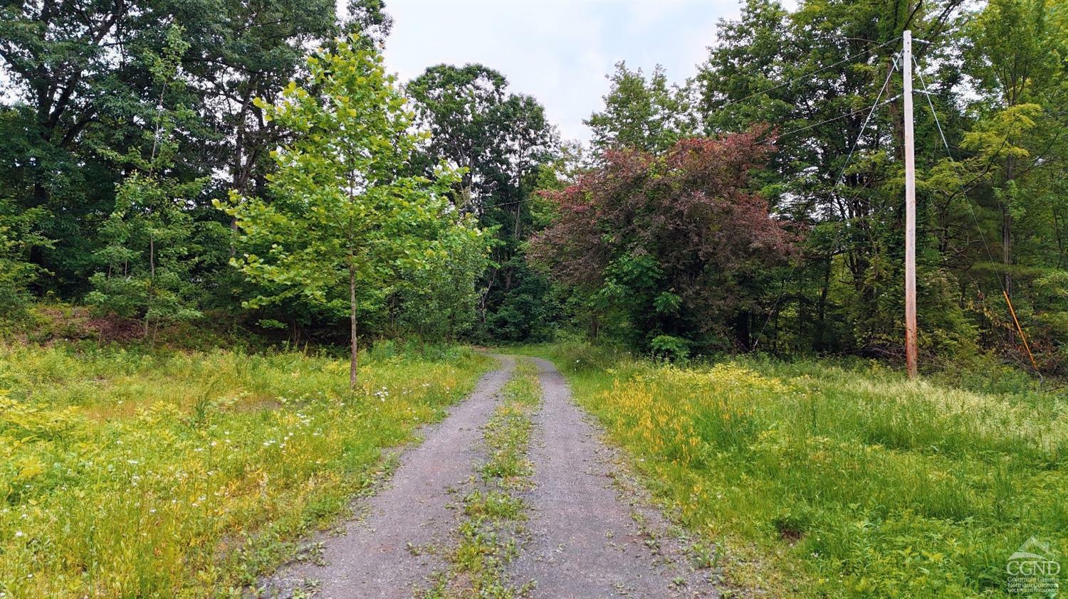 Property Photo:  3053 State Route 66  NY 12037 