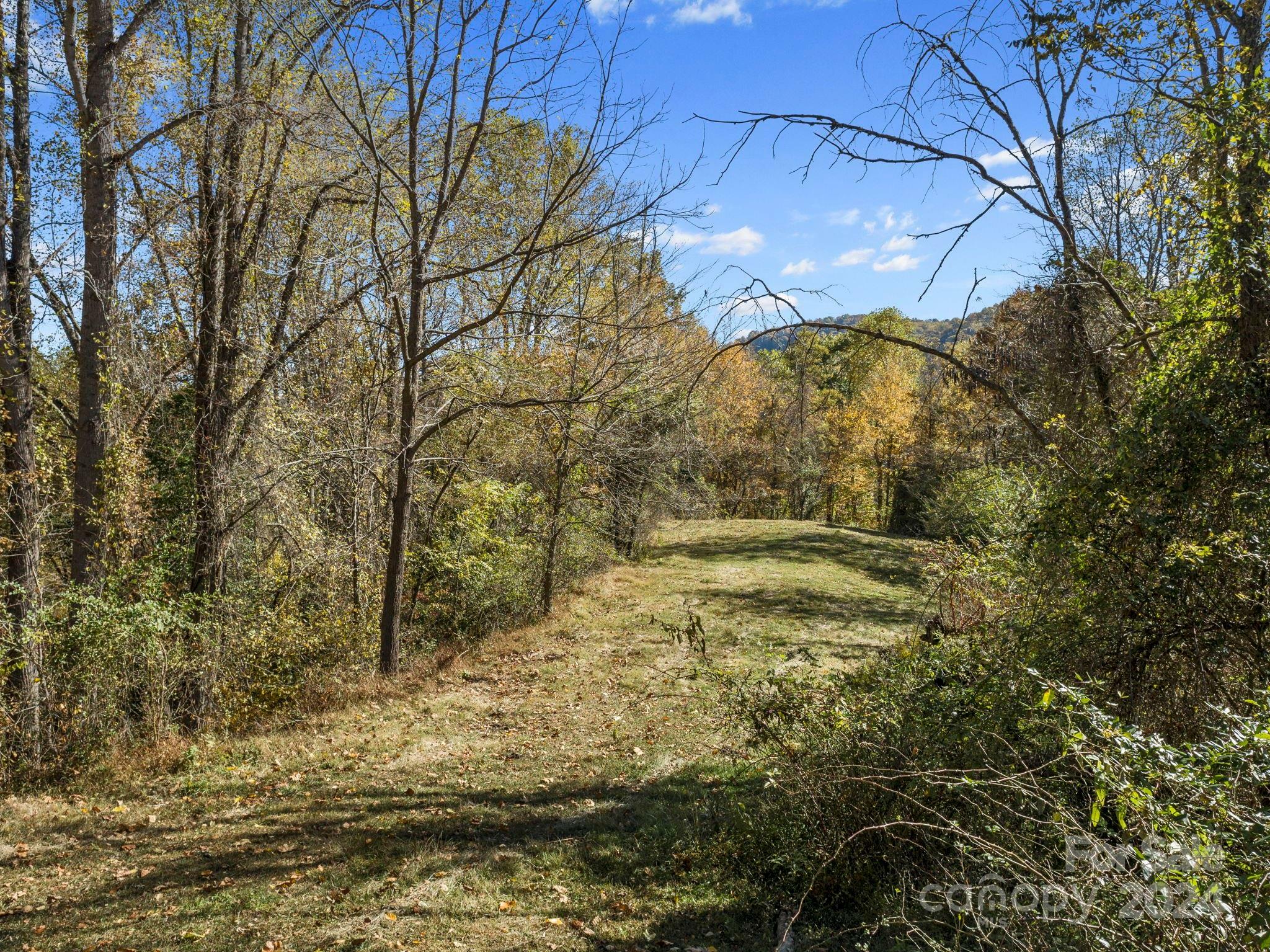 Property Photo:  Tbd Fresh Water Road  NC 28748 