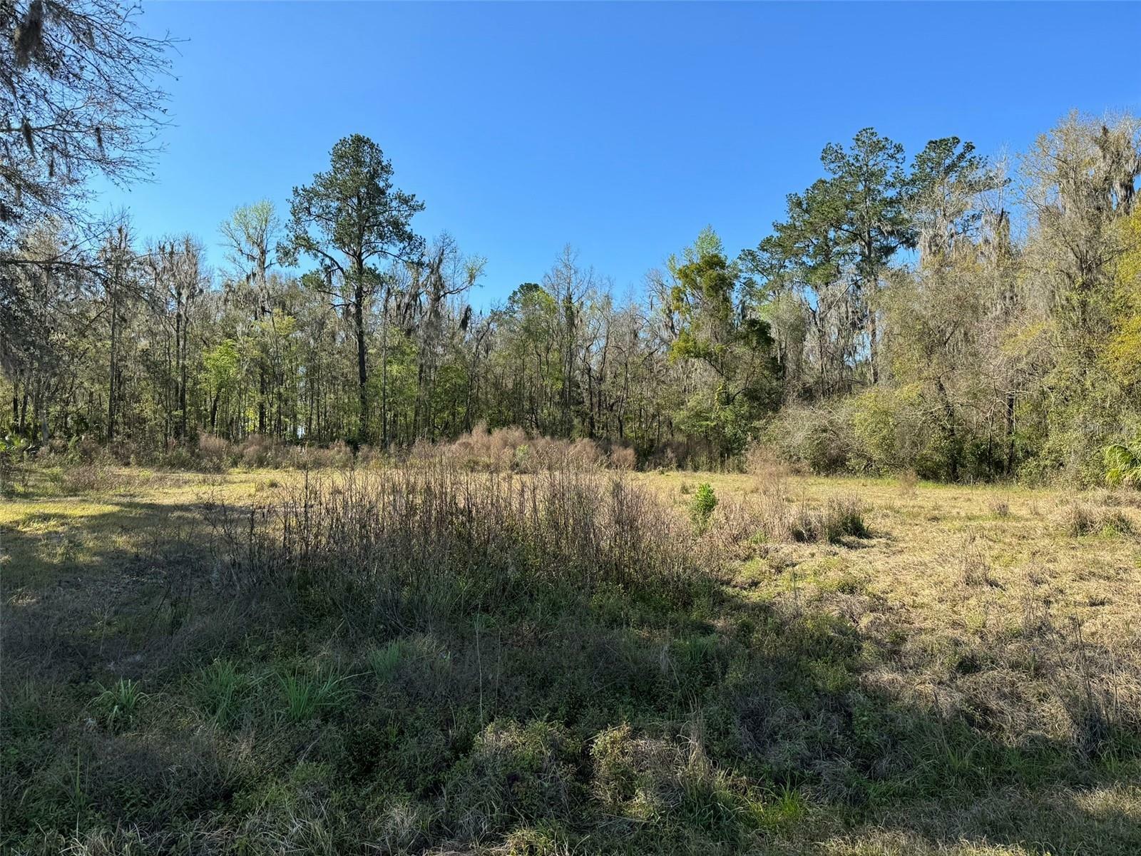 Property Photo:  11372 W Highway 318  FL 32686 