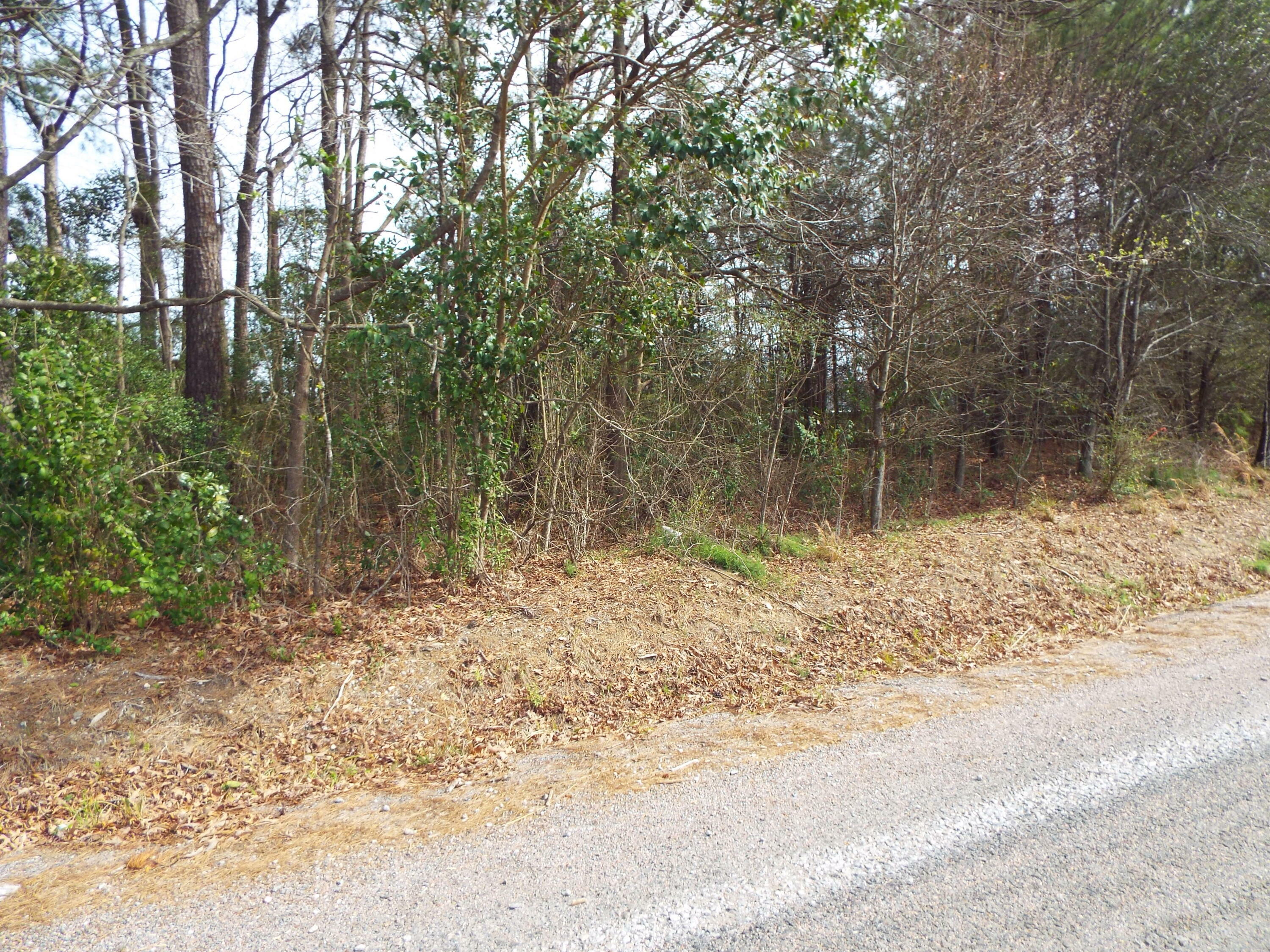 Property Photo:  0 Dennis Drive Lot 26  SC 29445 