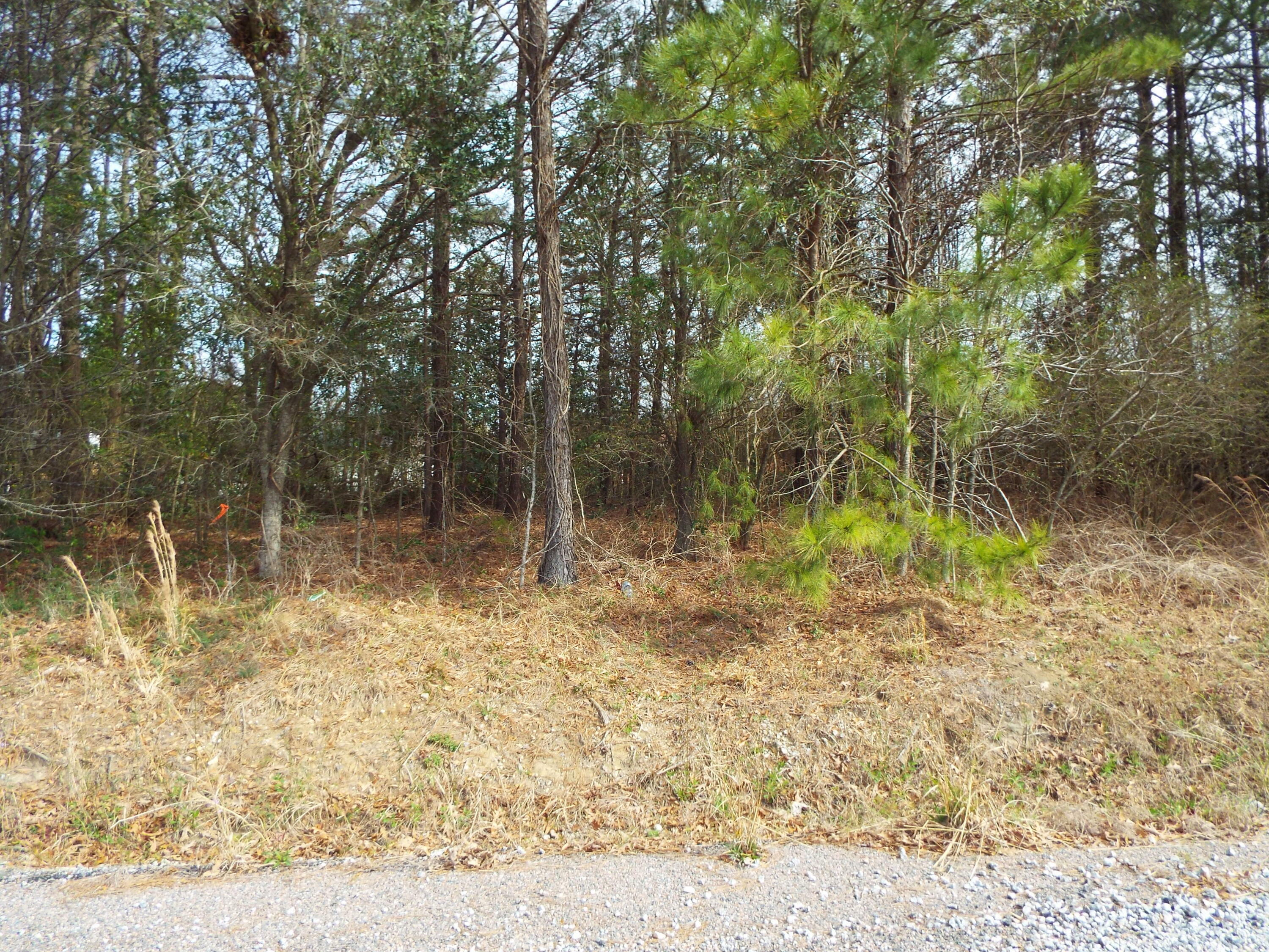 Property Photo:  0 Dennis Drive Lot 27  SC 29445 