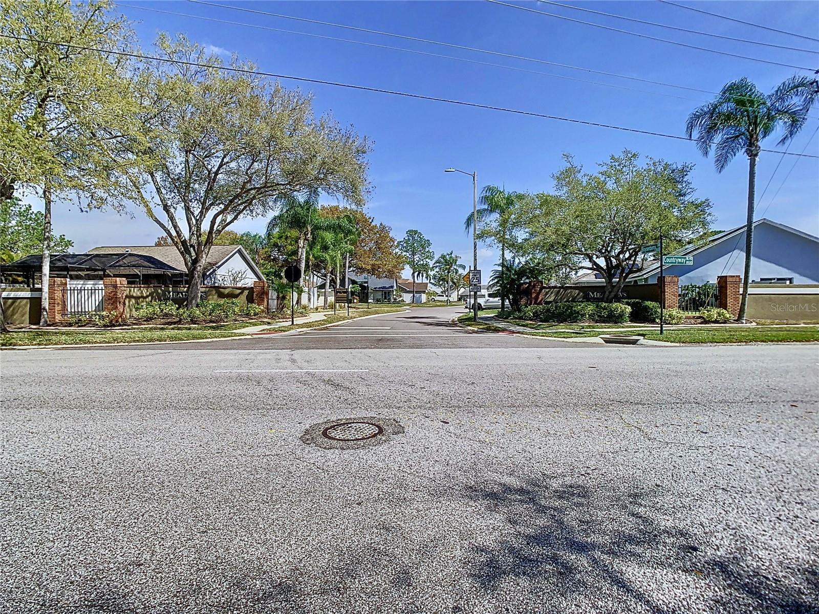 Property Photo:  8625 Boysenberry Drive  FL 33635 