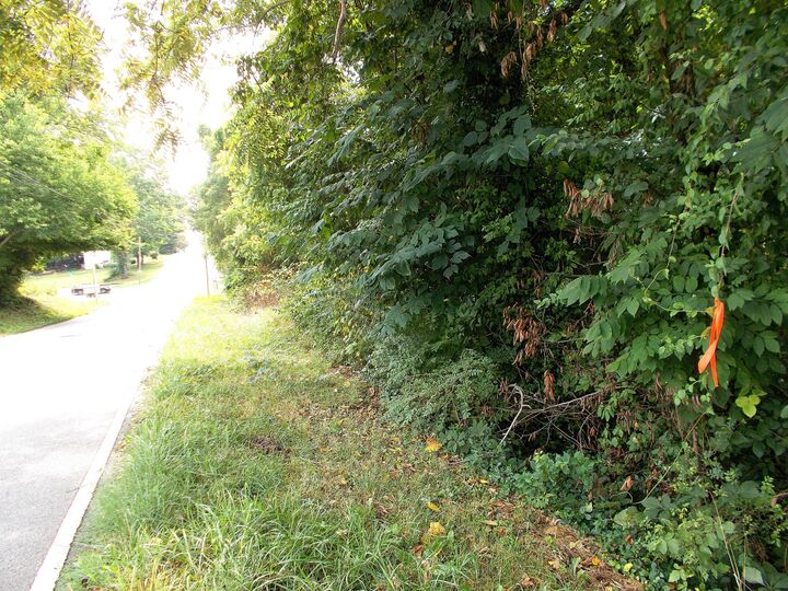 Property Photo: 0 W Walnut St TN 37055