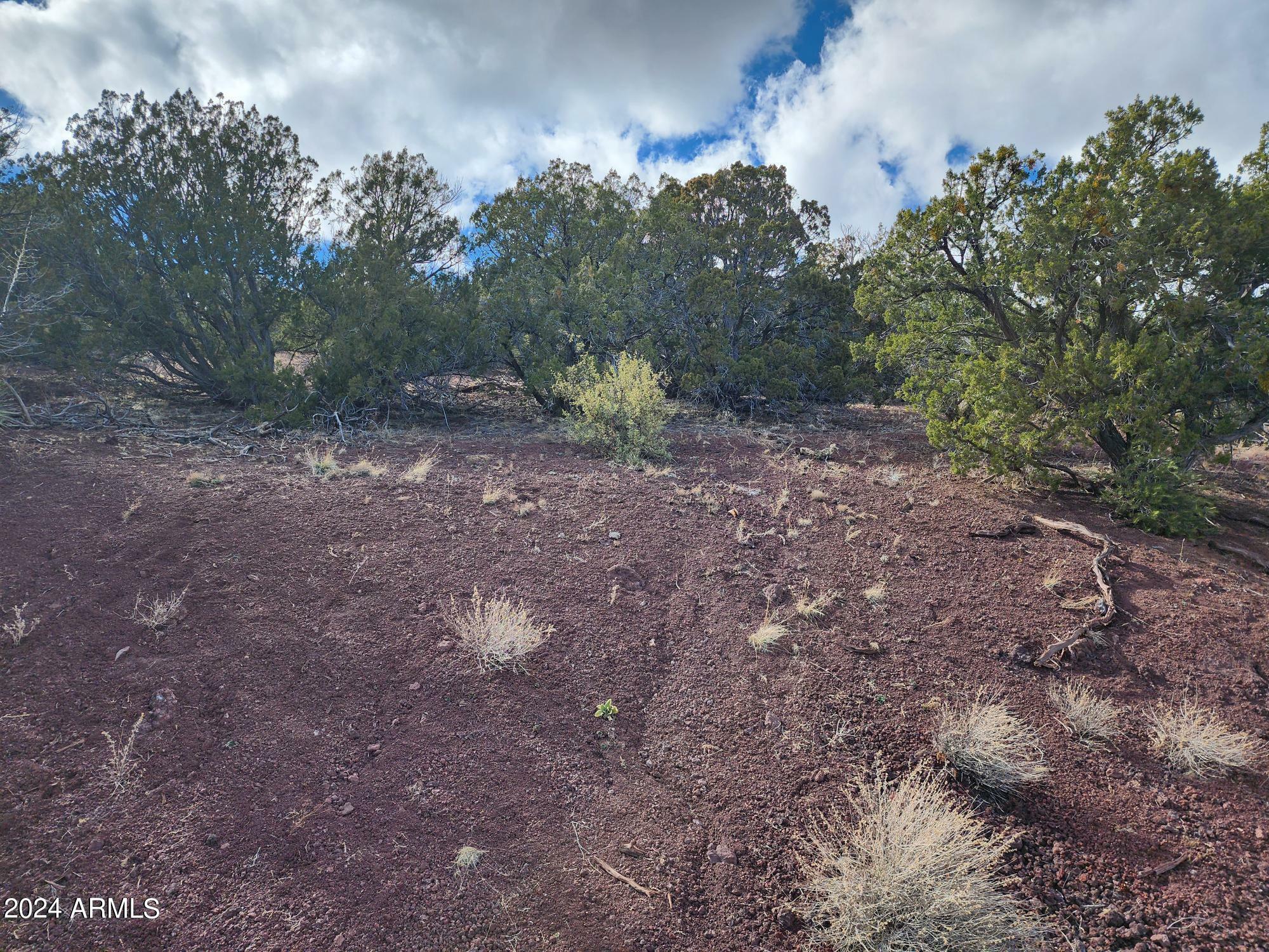 Property Photo:  104 N County 3313 Road 83  AZ 85940 