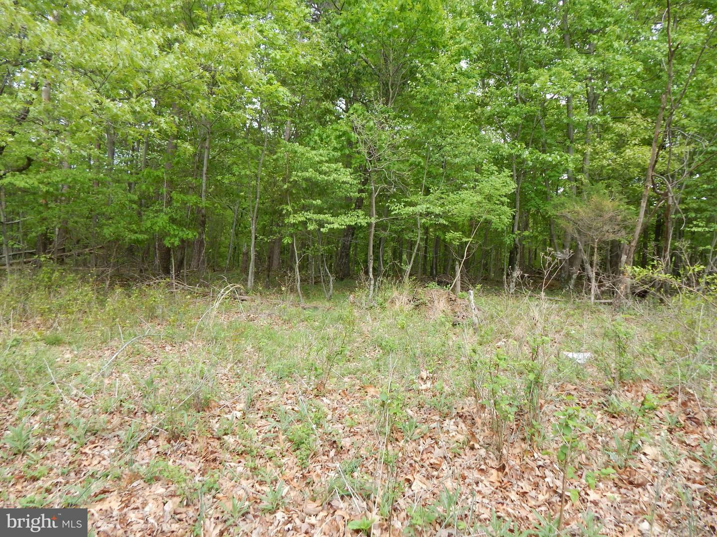 Property Photo:  Plum Tree Lane  WV 25411 