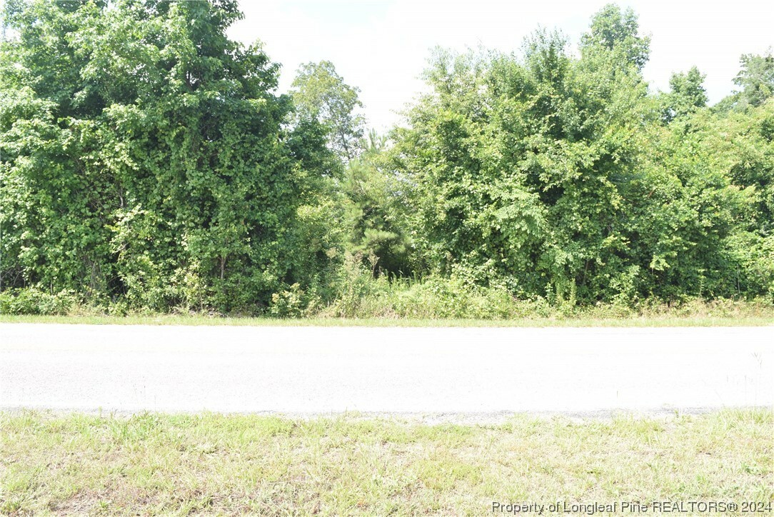 Property Photo:  00 Douglas Farm Road  NC 27332 