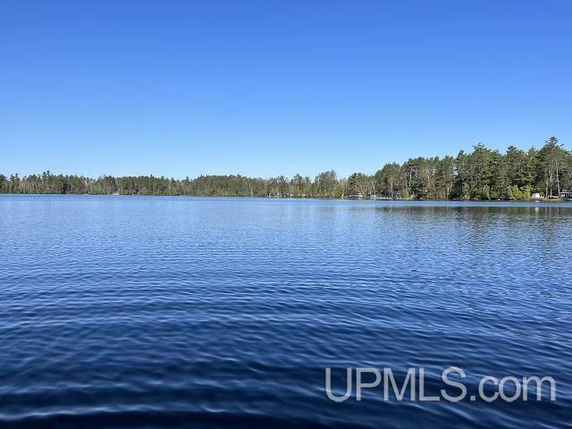 Property Photo:  10 Acres East Bass Woods Lane  MI 49841 