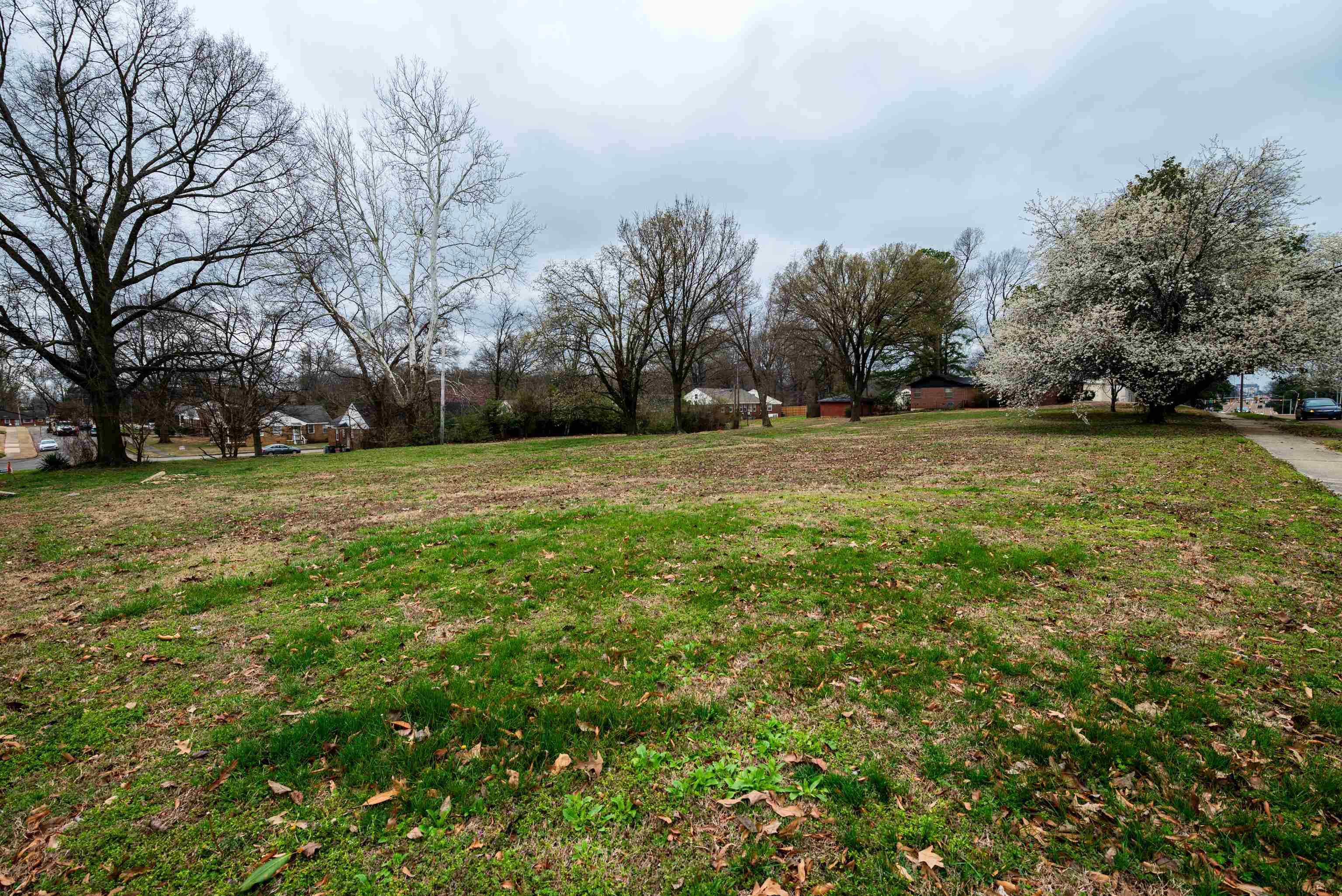 Property Photo:  2419 Union Ave  TN 38112 