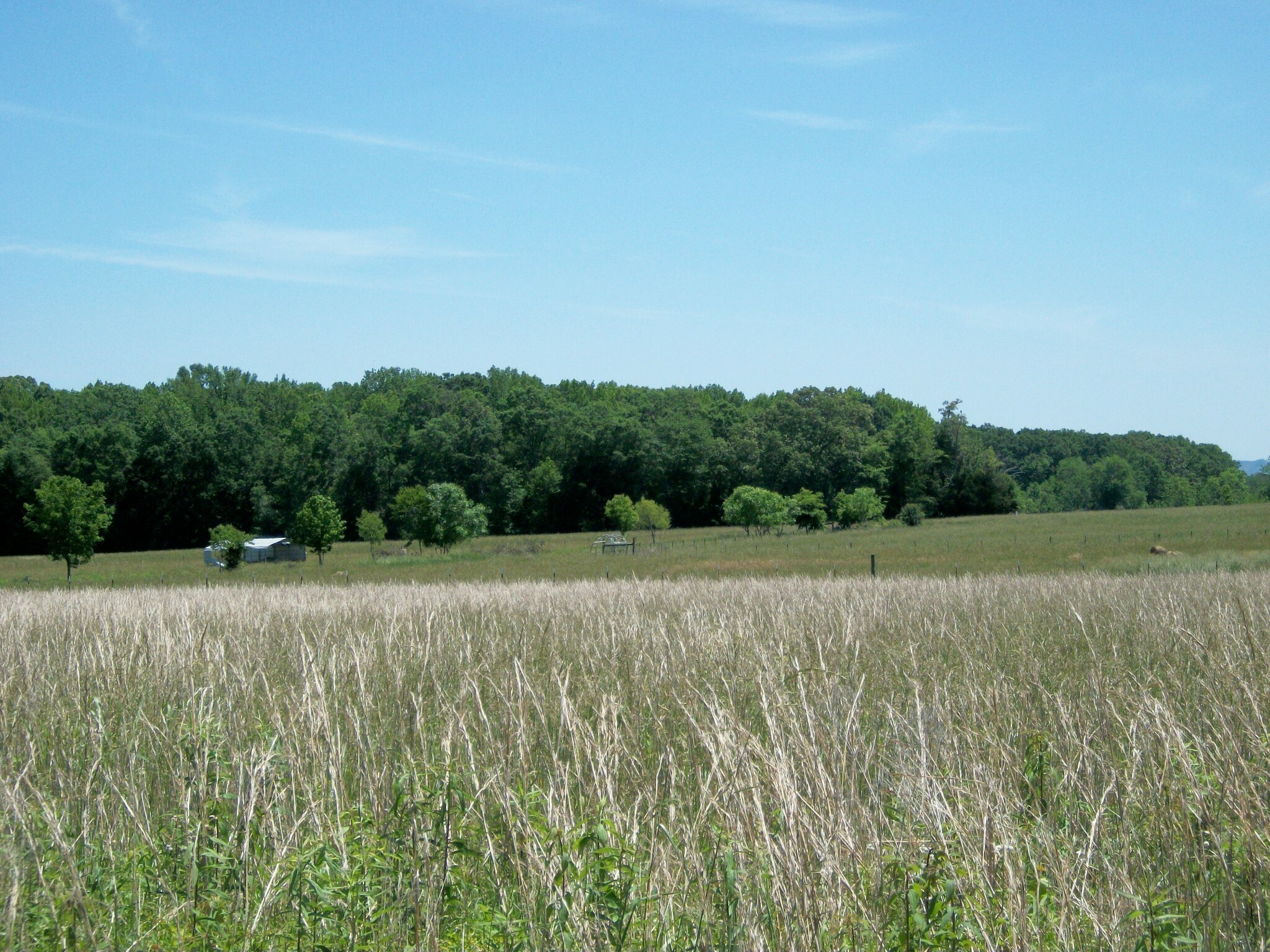 Property Photo:  0 McAfee Rd  TN 37357 