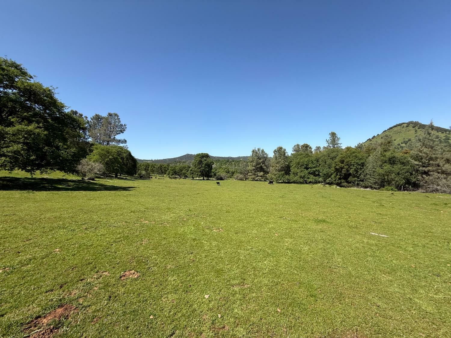 0 Airola Road  Vallecito CA 95251 photo