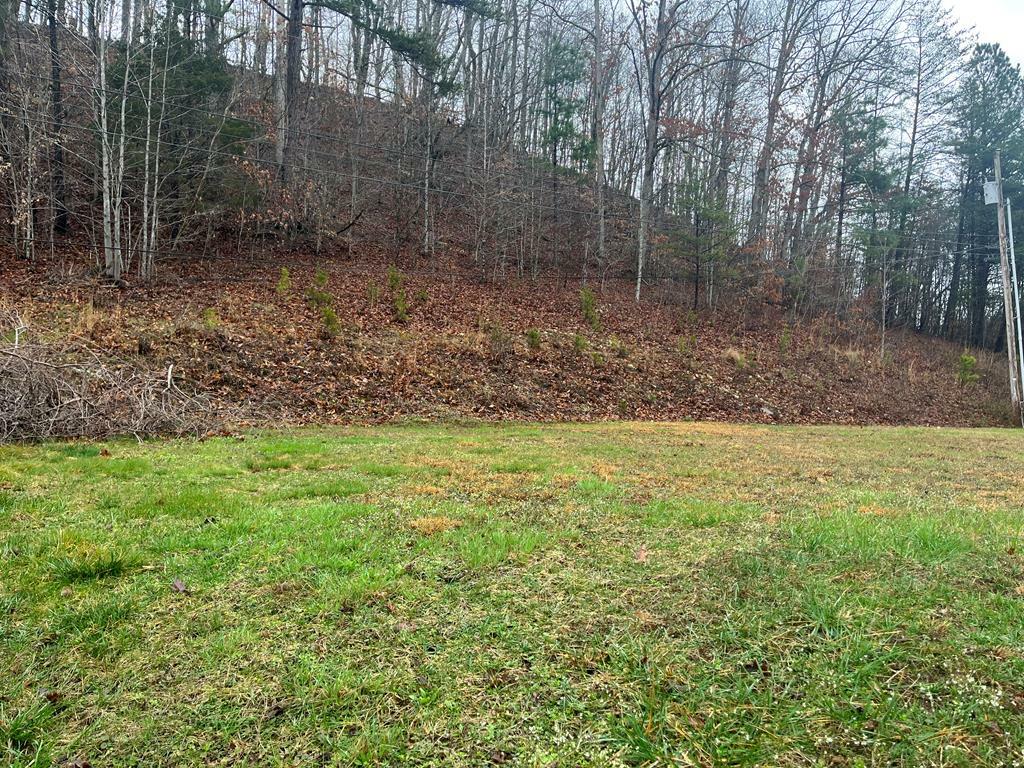 Property Photo:  Lot #8 Homestead Estates  KY 41263 