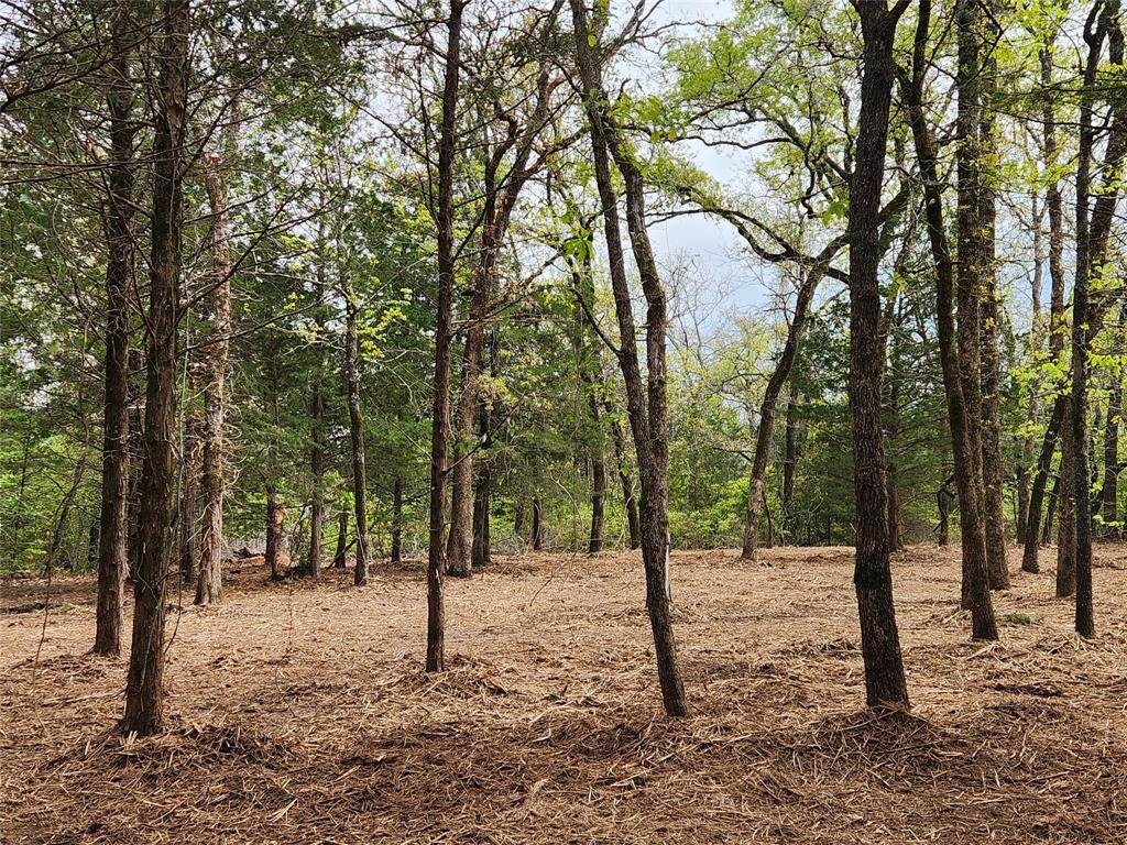 Property Photo: 0 County Road 4710 Lot 465 TX 75770