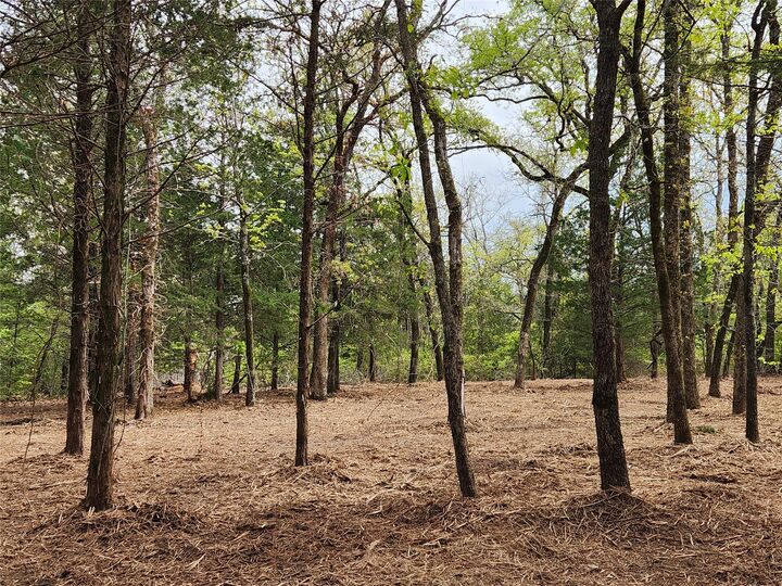 Property Photo:  0 County Road 4710 Lot 465  TX 75770 