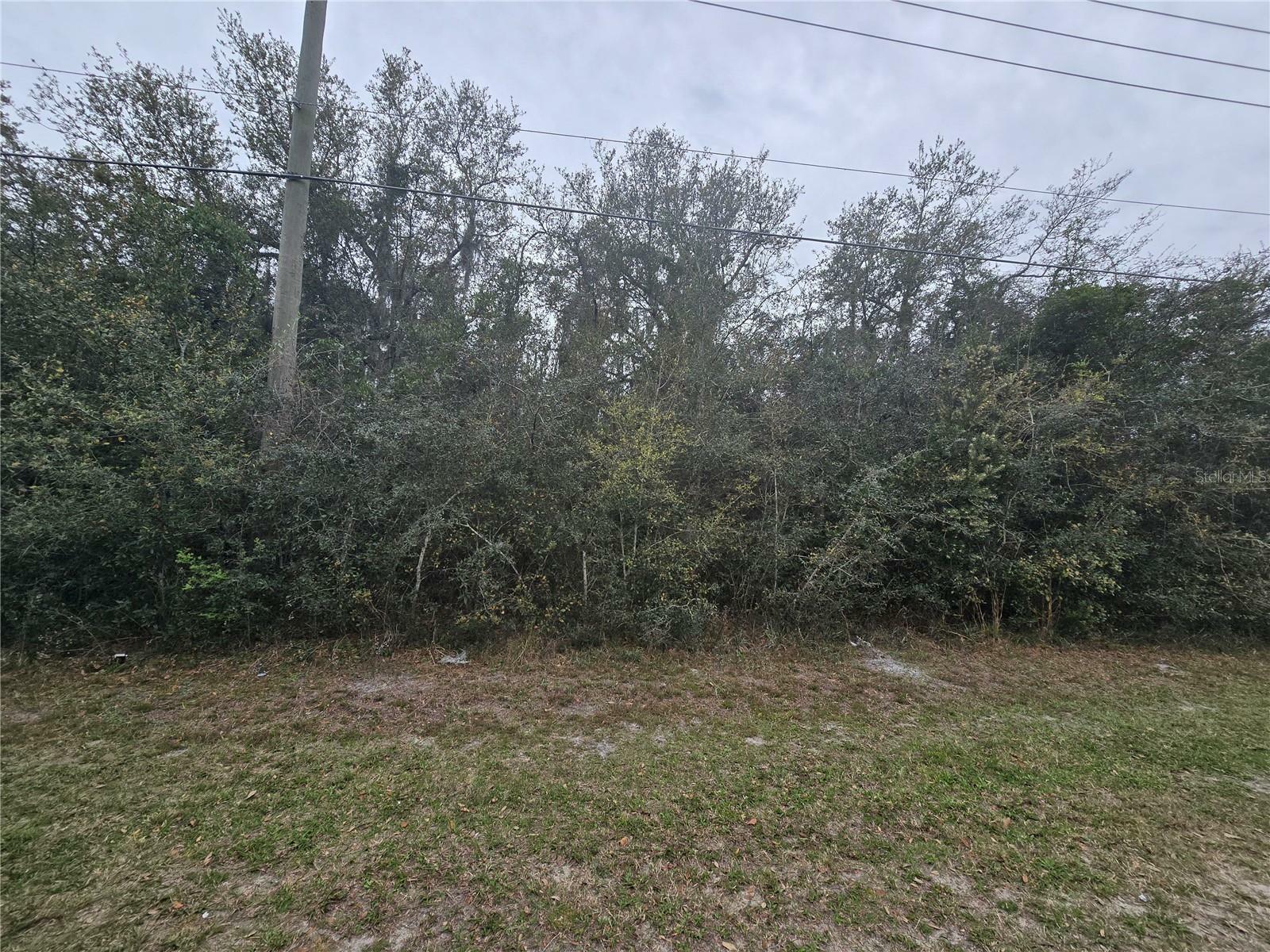 Property Photo:  1500 Humphrey Boulevard  FL 32738 