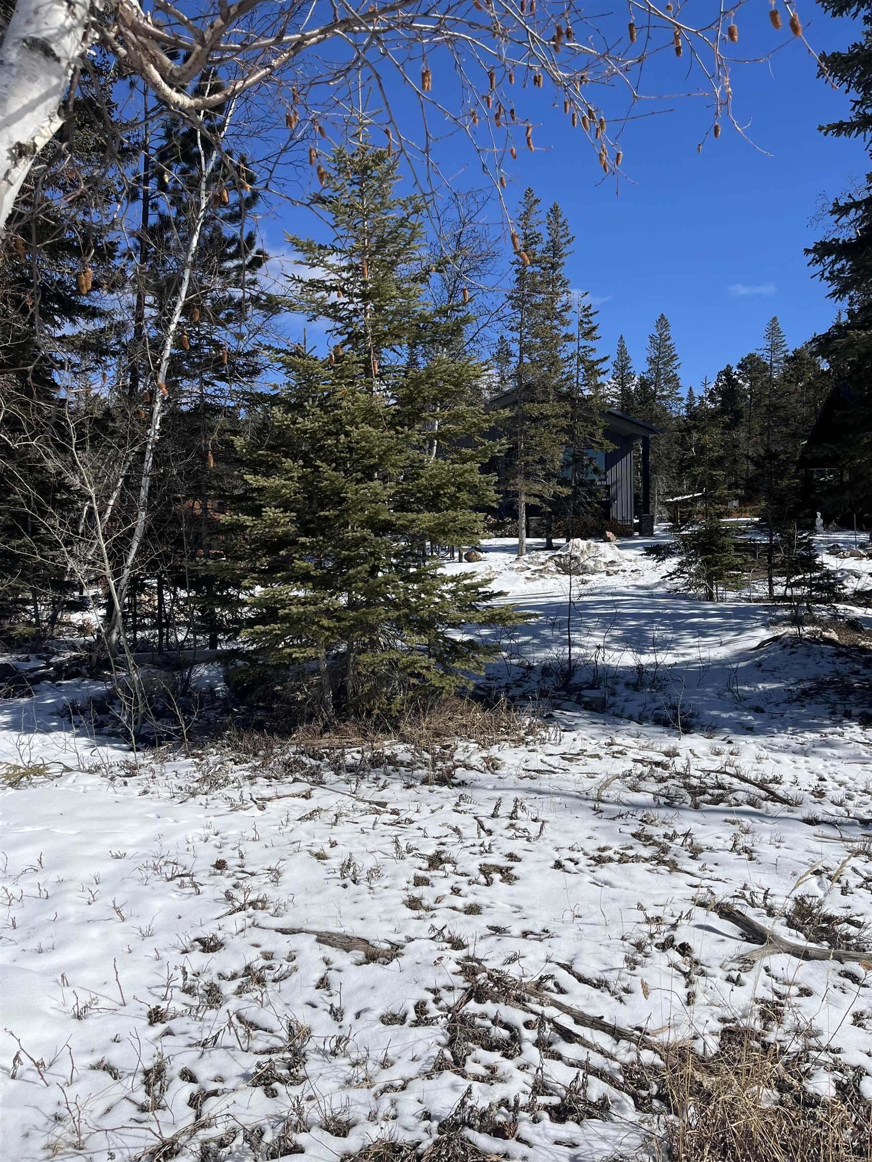 Property Photo:  Lot 19 Block 10  SD 57754 