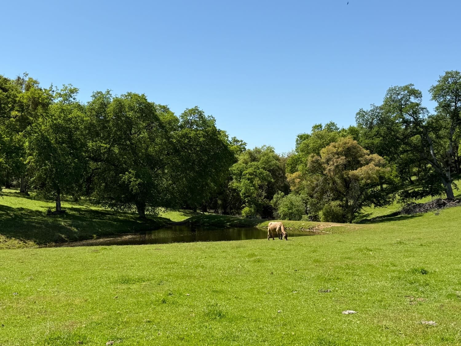 Property Photo: 0 Airola Road CA 95251