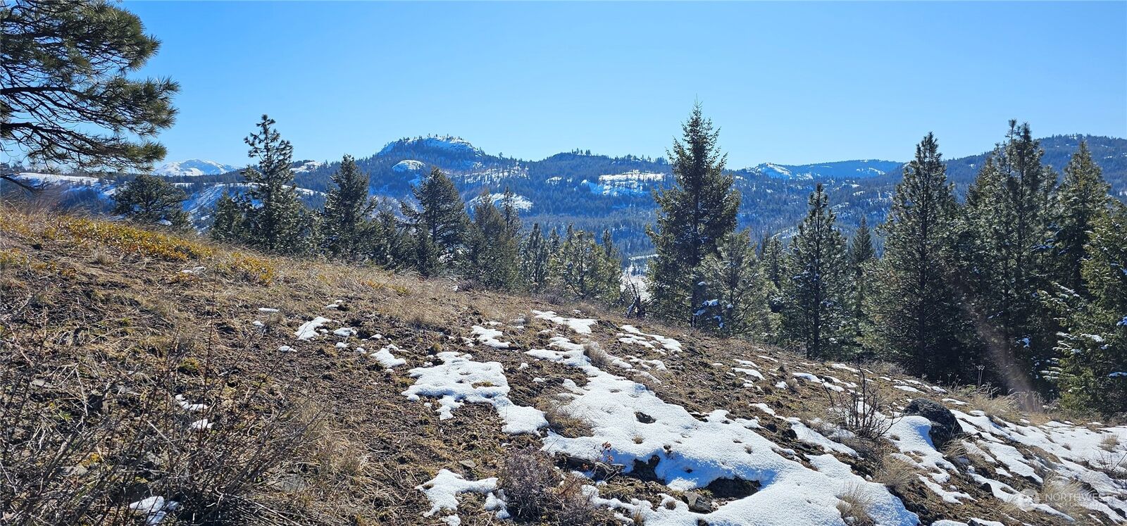 Property Photo:  664  Lundimow Meadows Road  WA 99118 