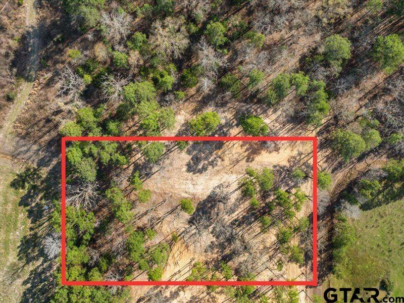 Property Photo:  Lot 6 County Road 2540  TX 75773 