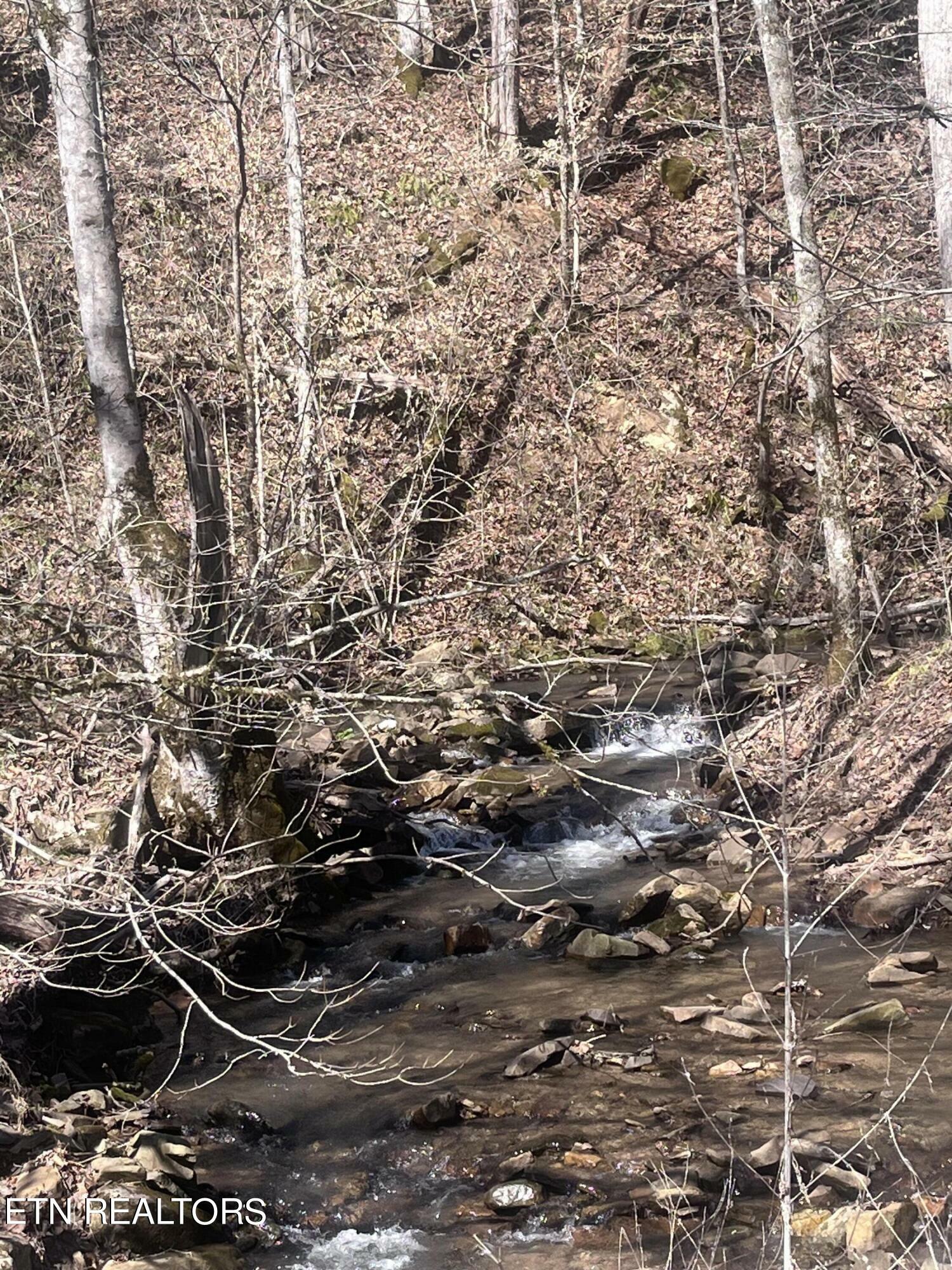 Property Photo:  Skaggs Hollow Rd  TN 37879 