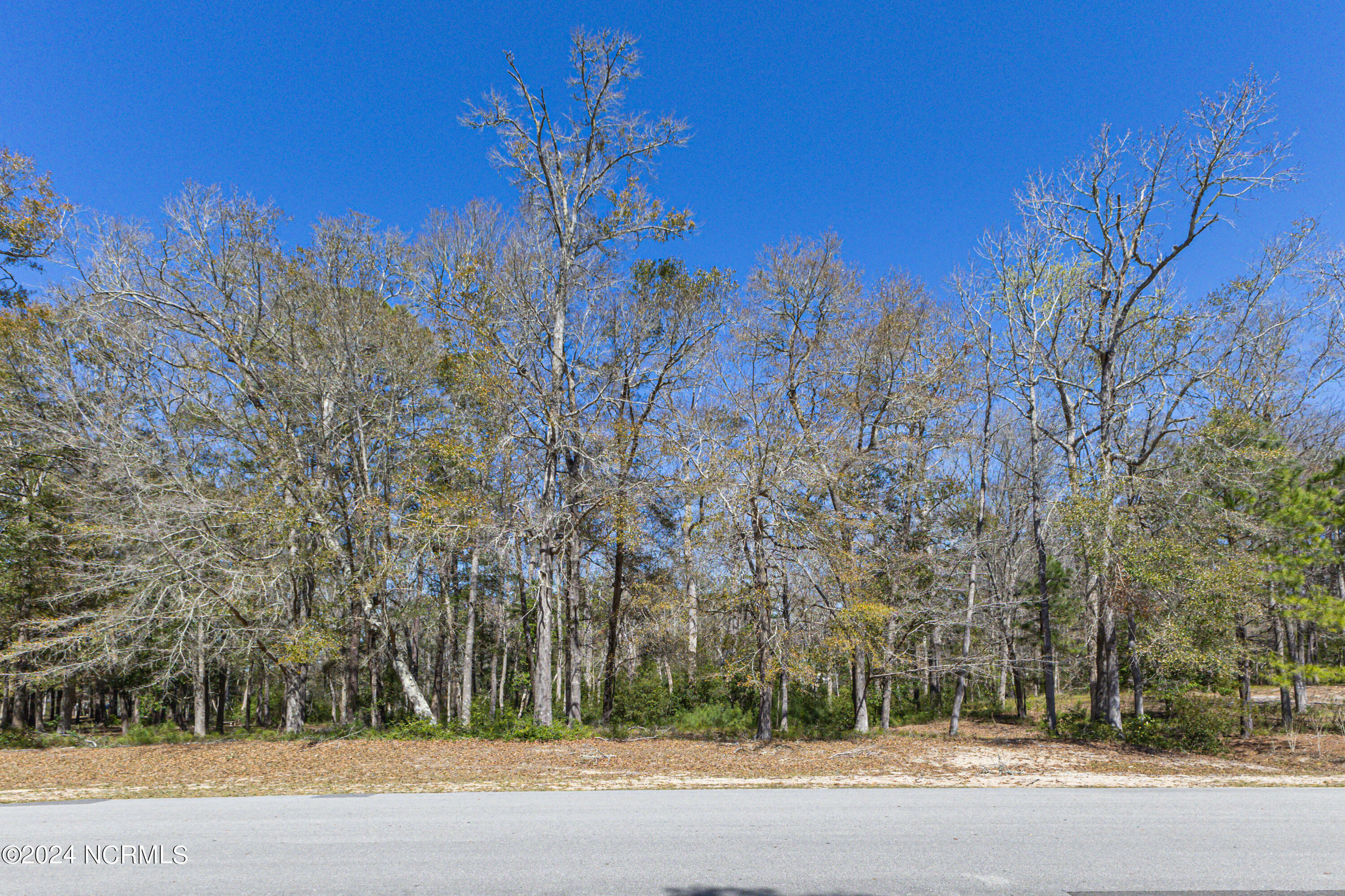 Property Photo:  3382 Eagle Crest Dr Drive SW  NC 28462 