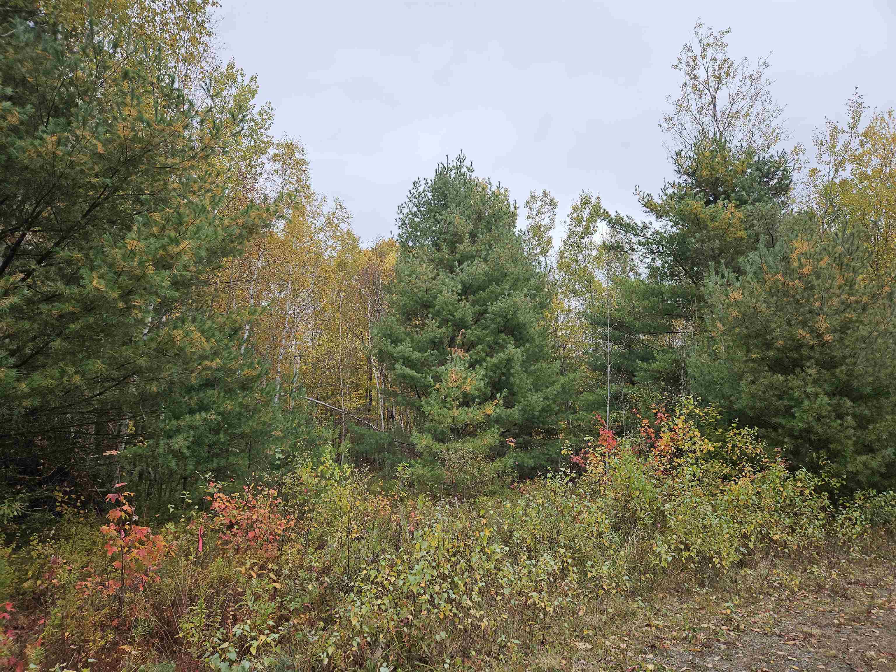 Property Photo:  Lot 13 Cannon View Drive  NH 03586 