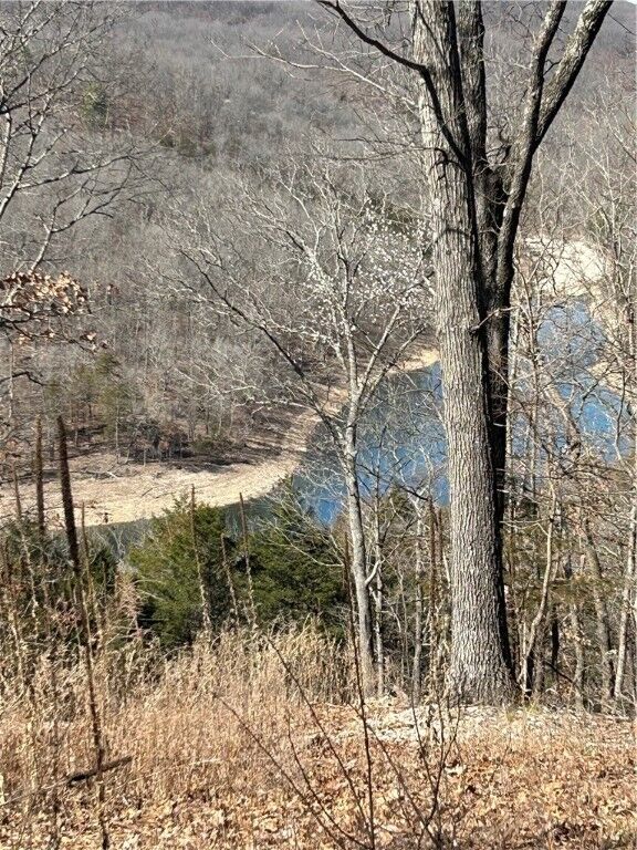 Property Photo:  Highland Lake Drive  AR 72732