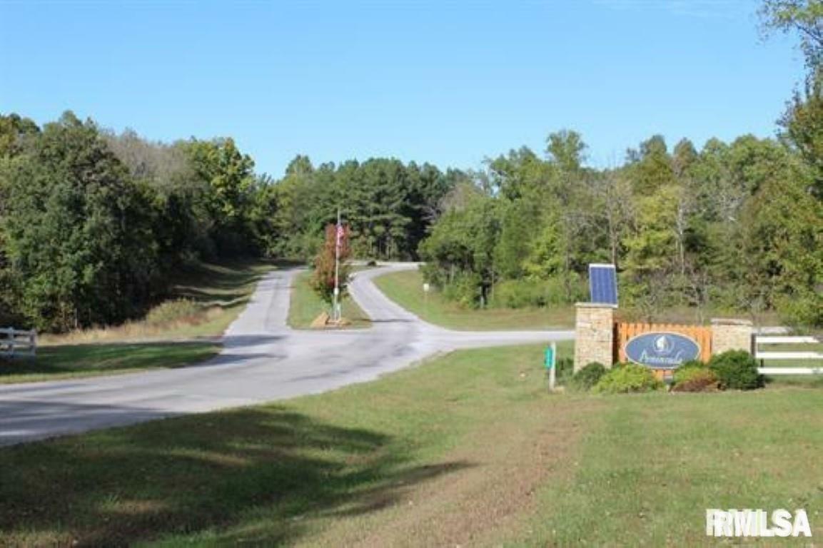 Property Photo: Lot 405 Parrish Ridge Road IL 62939