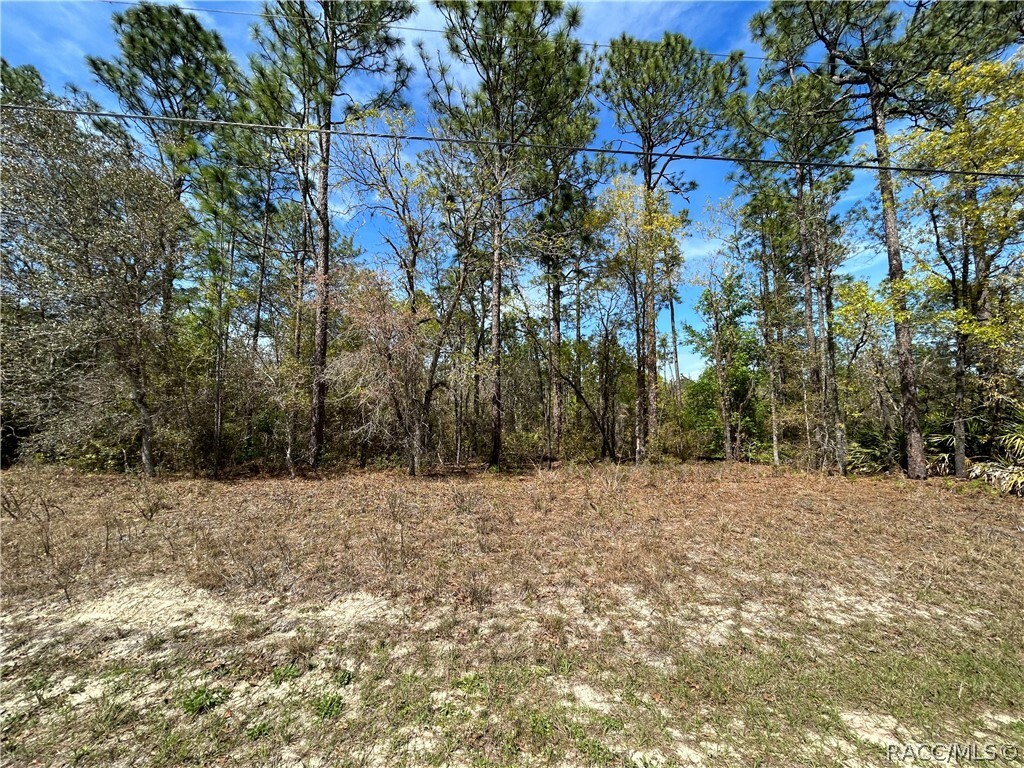 Property Photo:  357 W Goldcoast Place  FL 34434 