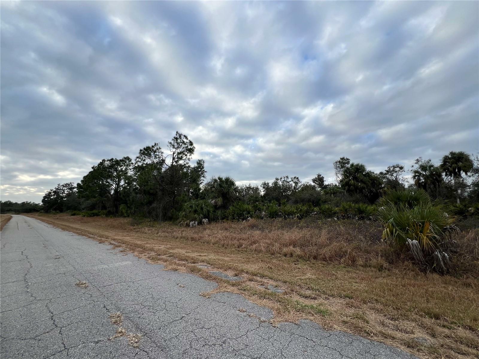 Property Photo:  Winterville Circle  FL 34288 