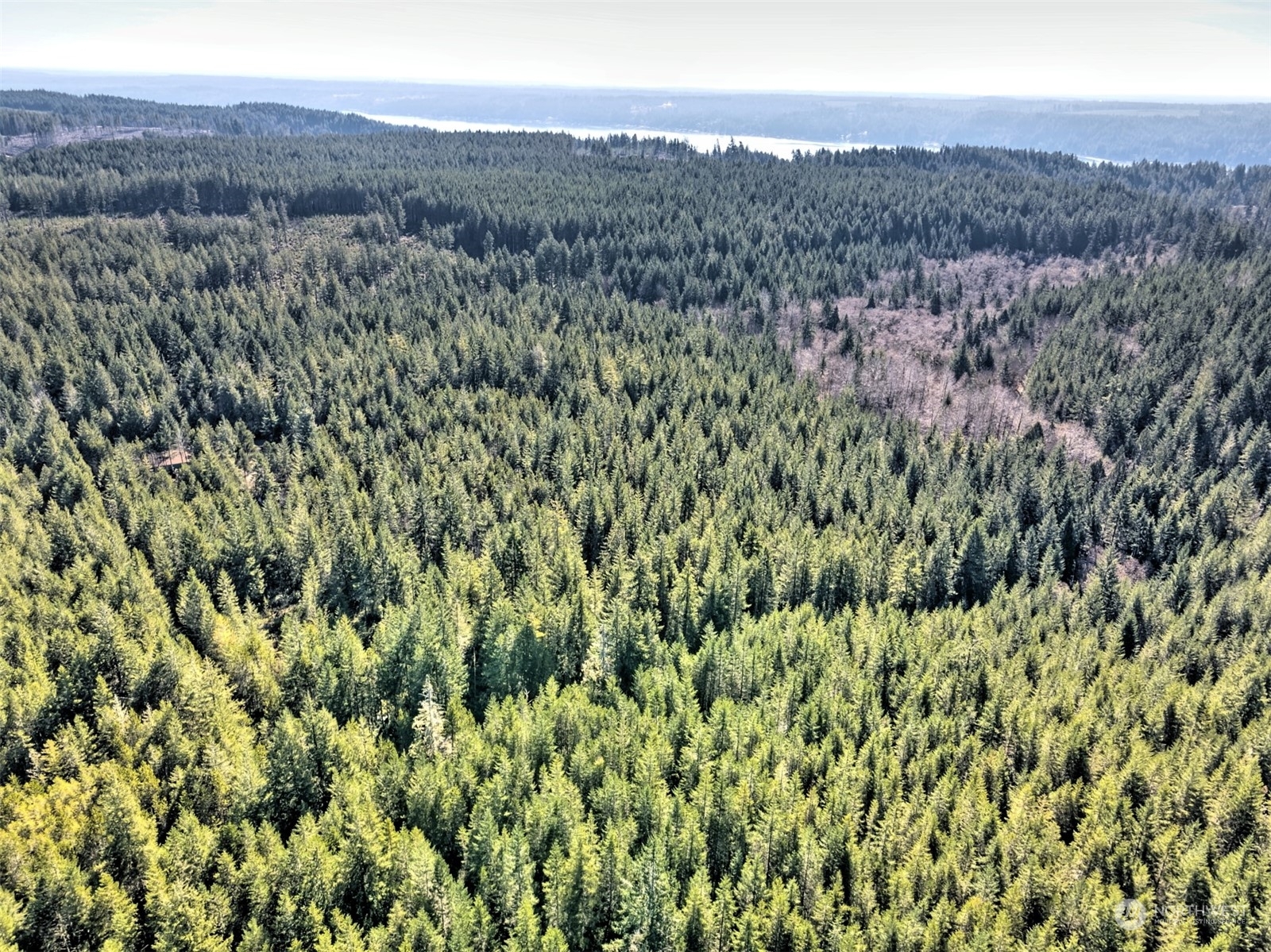 Property Photo:  963 NE Black Bear Road  WA 98528 