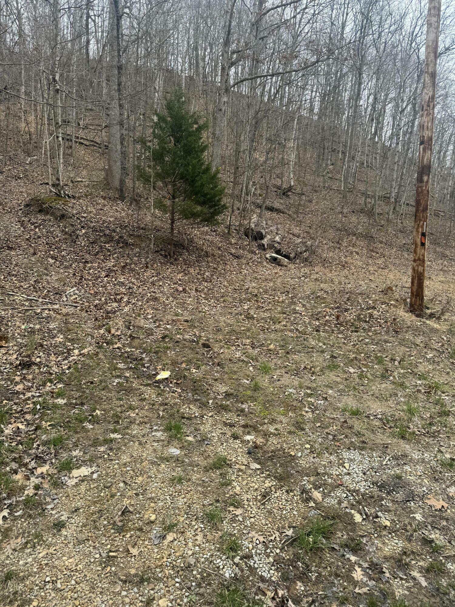 Property Photo:  10.57 Peck Pike  KY 42539 