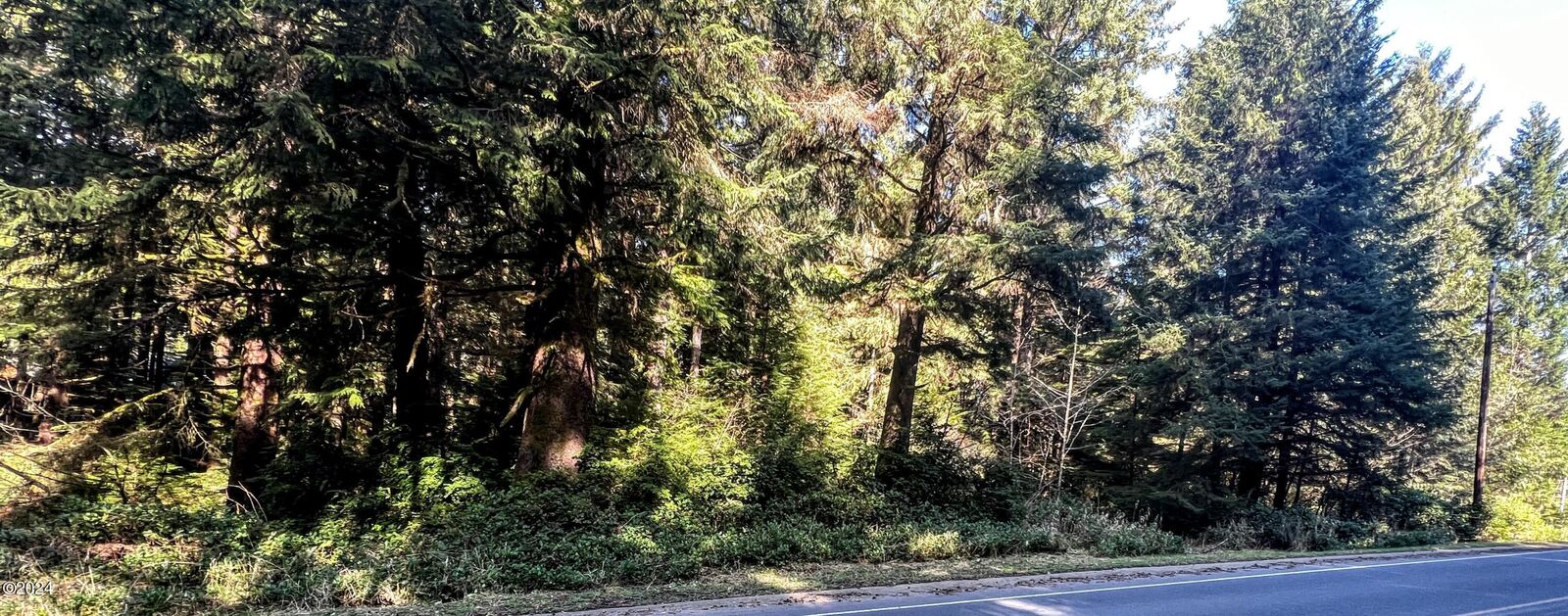 Property Photo:  306 SW Wakonda Beach Road  OR 97394 