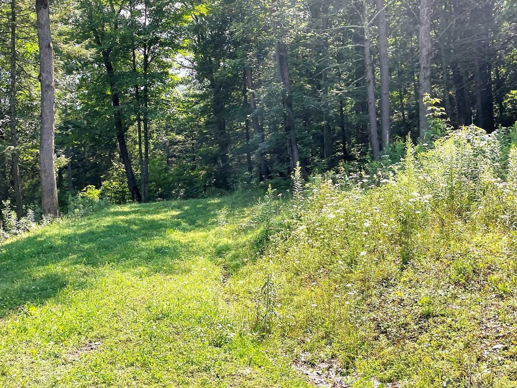 Property Photo:  Lot 35 Hemlock Hills Rd  PA 18848 