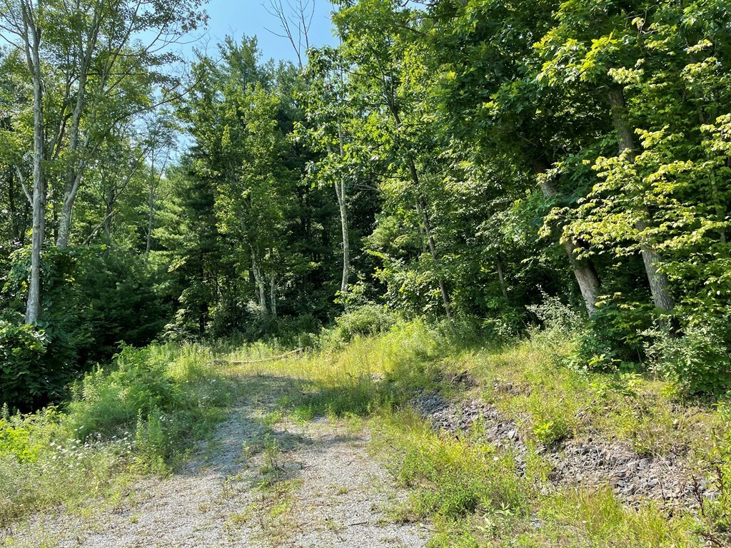 Property Photo:  Lot 48 Hemlock Hills Rd  PA 18848 