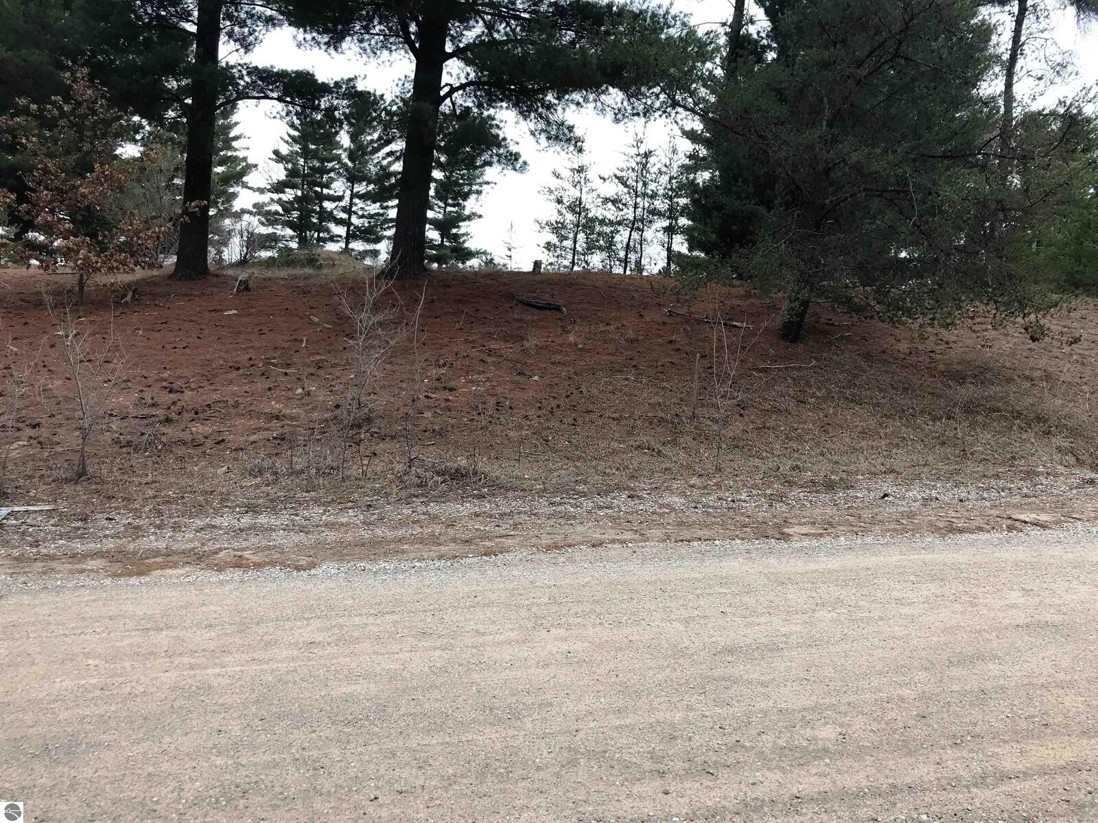 Property Photo: 00 Howard Street MI 49668