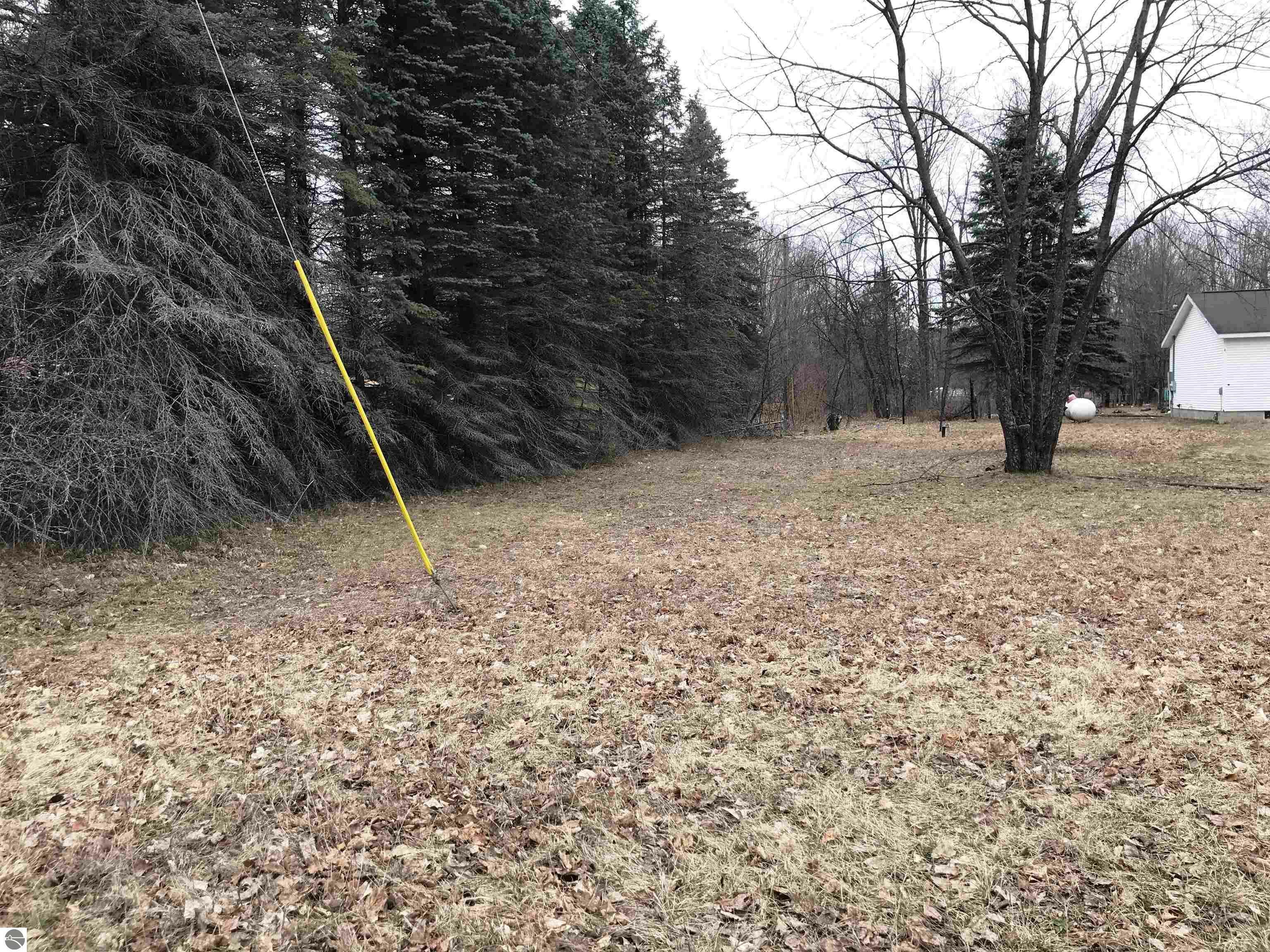 Property Photo: 00 N North Street MI 49683