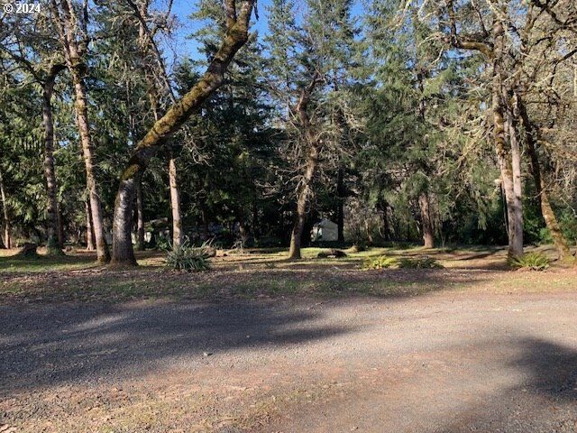 6th Ave  Cheshire OR 97419 photo