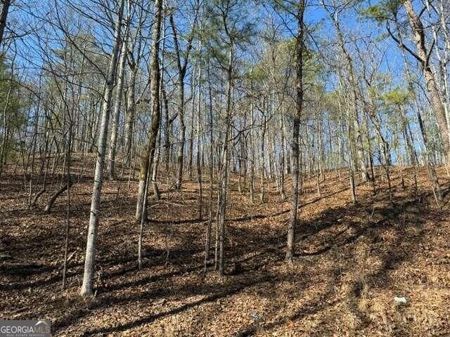 Property Photo: 0 Dover Circle GA 30734