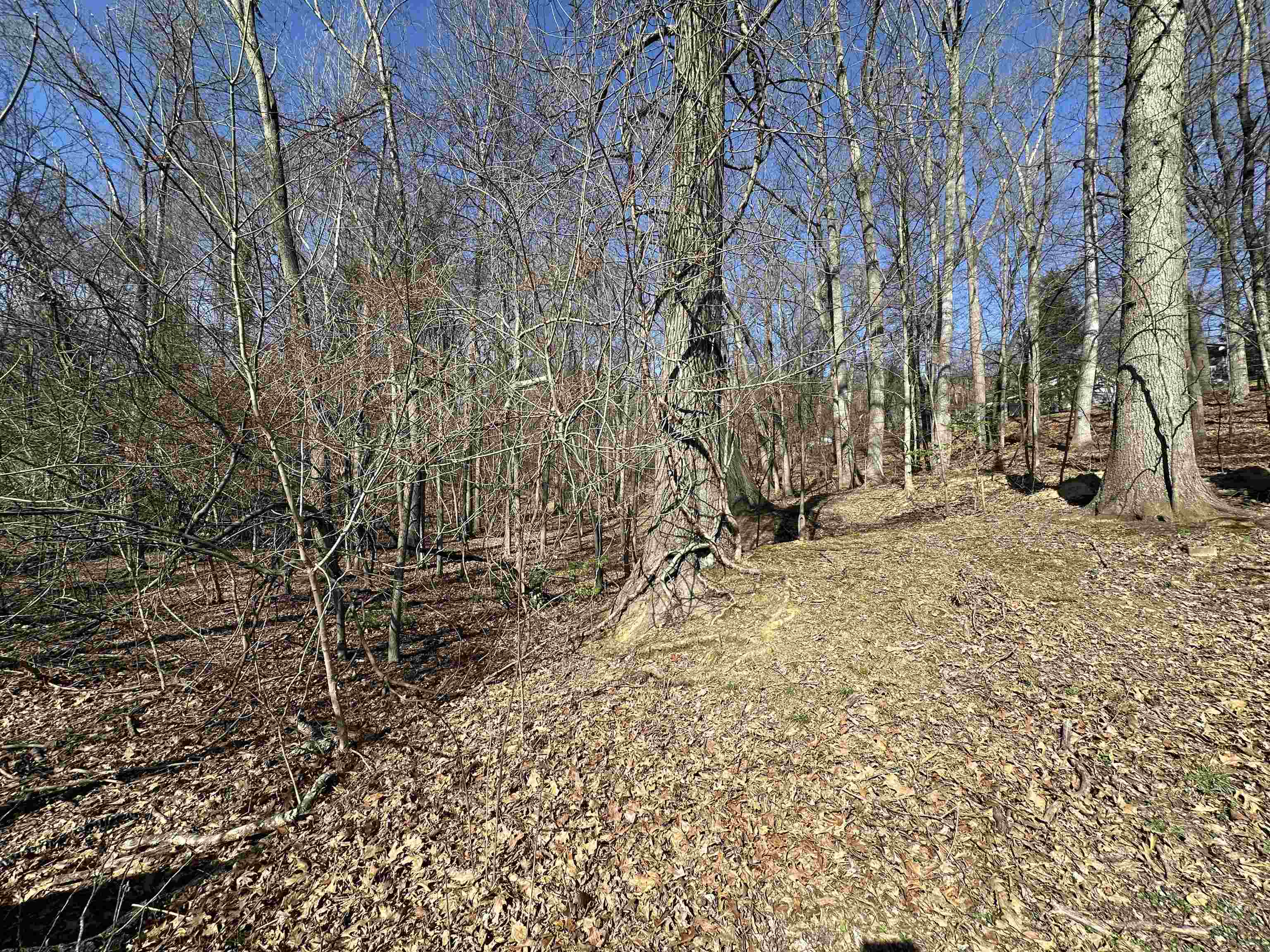 Forest Ave &Amp Woodland Court Multiple Properties See Publi  Ashland KY 41101 photo