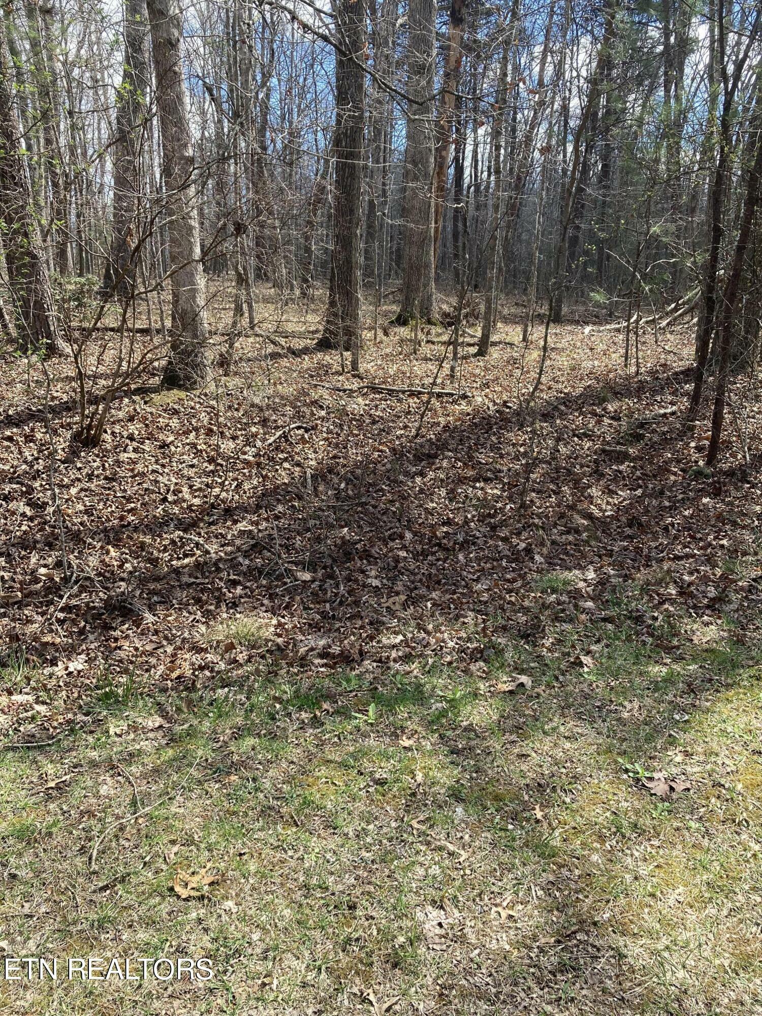 Property Photo:  15 Spillway Circle  TN 38558 