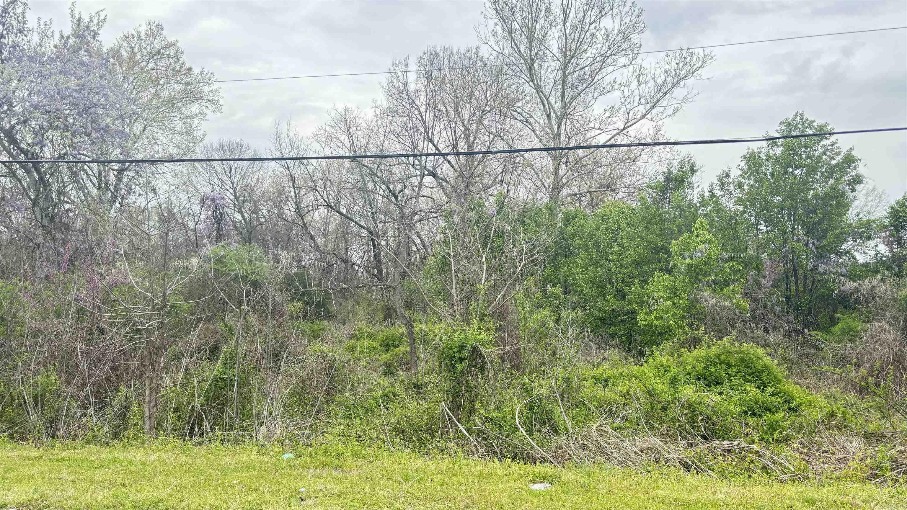 Property Photo:  Tbd E 33rd Street  AR 72205 